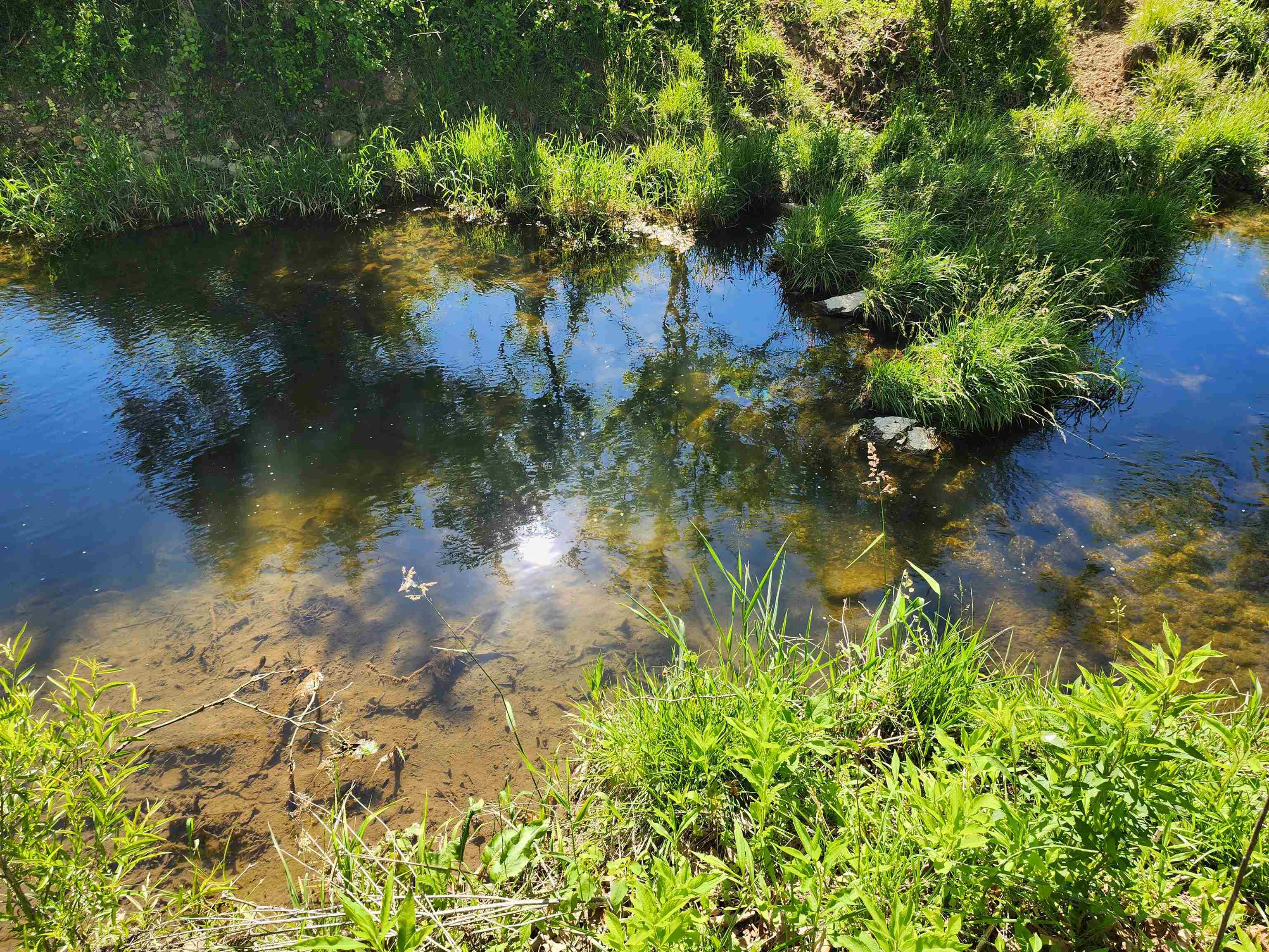 TBD INDIAN TRAIL RD, PENN LAIRD, Virginia 22846, ,Land,14,TBD INDIAN TRAIL RD,678406 MLS # 678406 TBD INDIAN TRAIL RD, PENN LAIRD, Virginia 22846, ,Land,14,TBD INDIAN TRAIL RD,678406 MLS # 678406