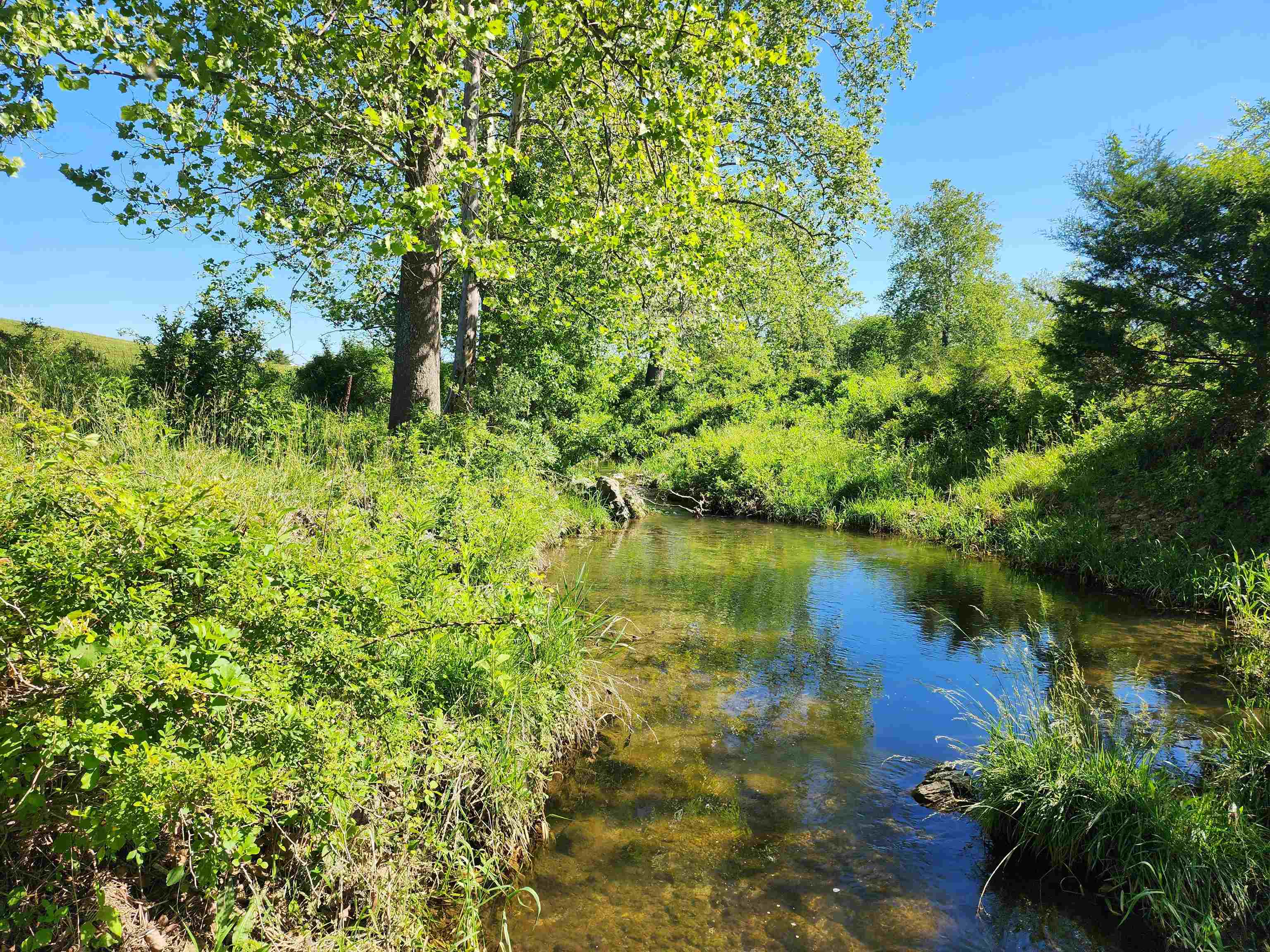 TBD INDIAN TRAIL RD, PENN LAIRD, Virginia 22846, ,Land,14,TBD INDIAN TRAIL RD,678406 MLS # 678406 TBD INDIAN TRAIL RD, PENN LAIRD, Virginia 22846, ,Land,14,TBD INDIAN TRAIL RD,678406 MLS # 678406