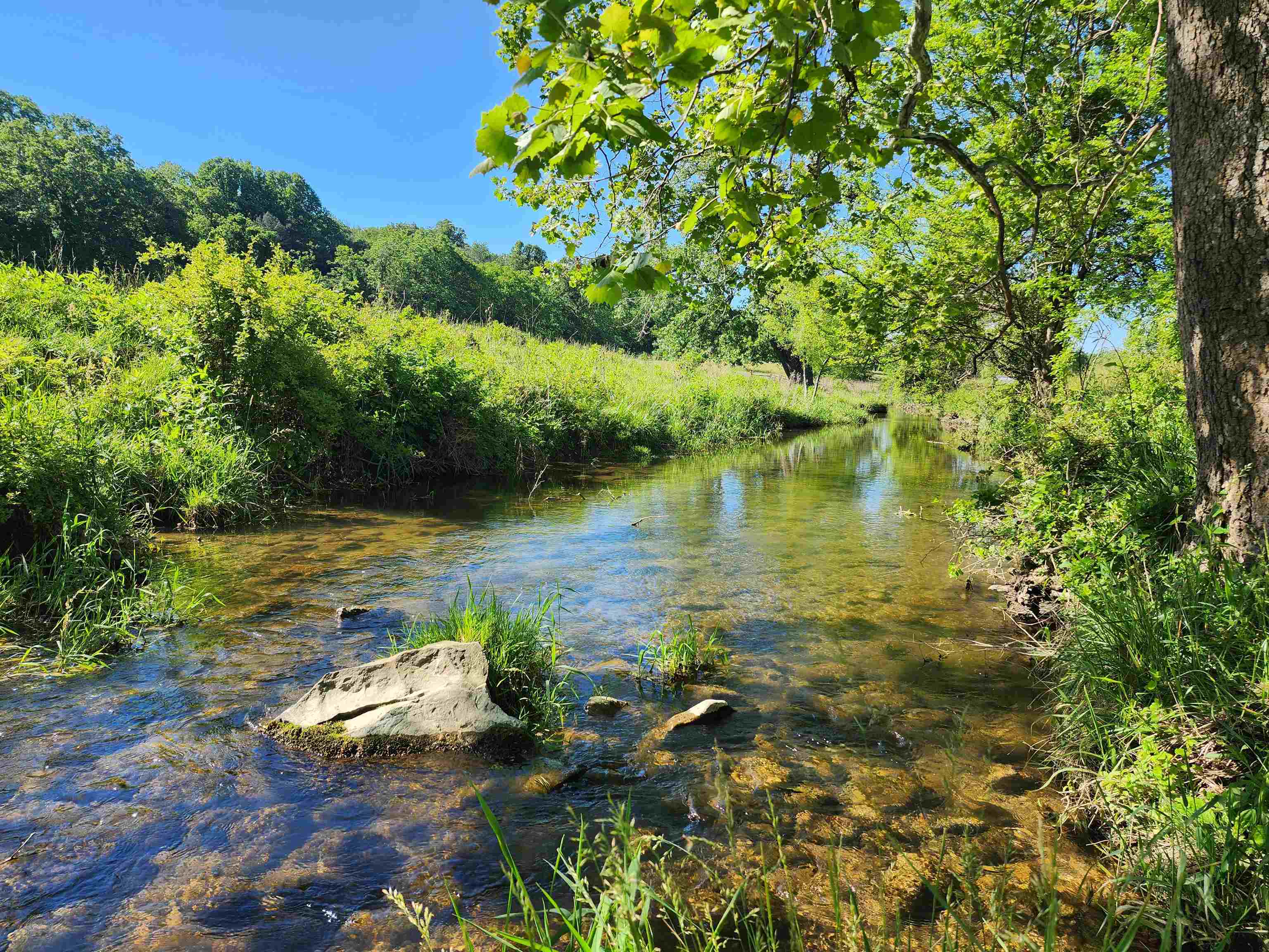 TBD INDIAN TRAIL RD, PENN LAIRD, Virginia 22846, ,Land,14,TBD INDIAN TRAIL RD,678406 MLS # 678406 TBD INDIAN TRAIL RD, PENN LAIRD, Virginia 22846, ,Land,14,TBD INDIAN TRAIL RD,678406 MLS # 678406