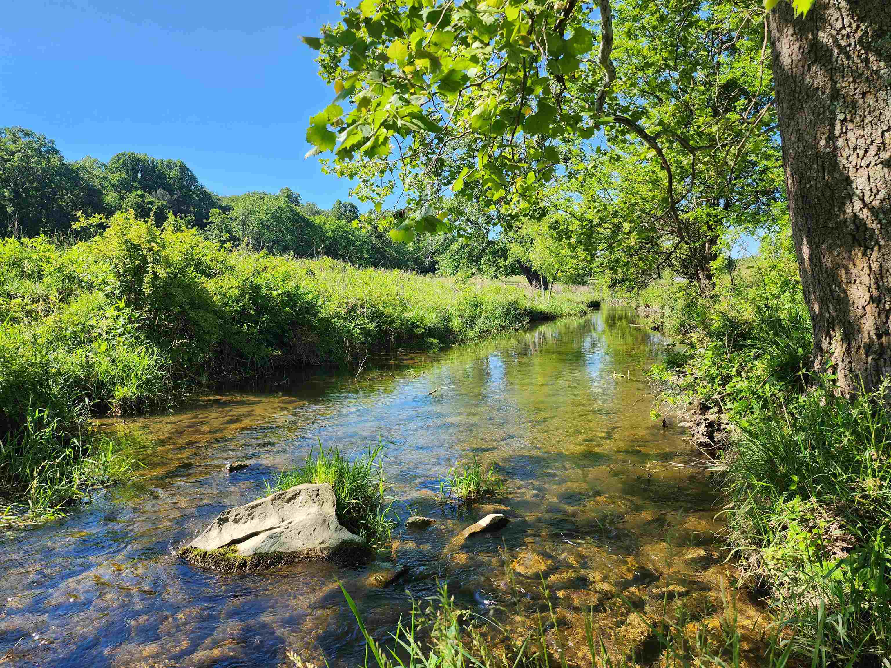 TBD INDIAN TRAIL RD, PENN LAIRD, Virginia 22846, ,Land,14,TBD INDIAN TRAIL RD,678406 MLS # 678406 TBD INDIAN TRAIL RD, PENN LAIRD, Virginia 22846, ,Land,14,TBD INDIAN TRAIL RD,678406 MLS # 678406