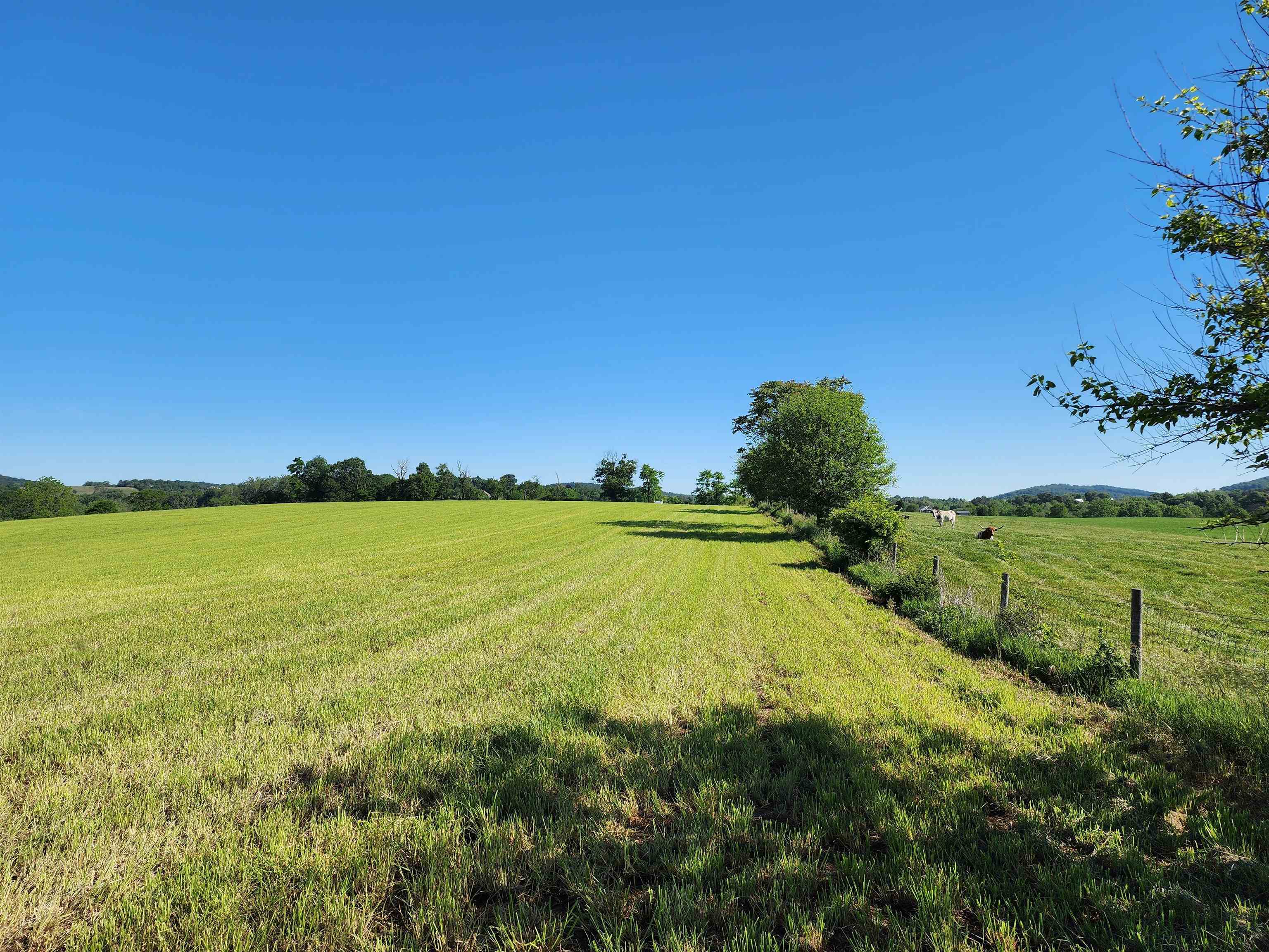 TBD INDIAN TRAIL RD, PENN LAIRD, Virginia 22846, ,Land,14,TBD INDIAN TRAIL RD,678406 MLS # 678406 TBD INDIAN TRAIL RD, PENN LAIRD, Virginia 22846, ,Land,14,TBD INDIAN TRAIL RD,678406 MLS # 678406