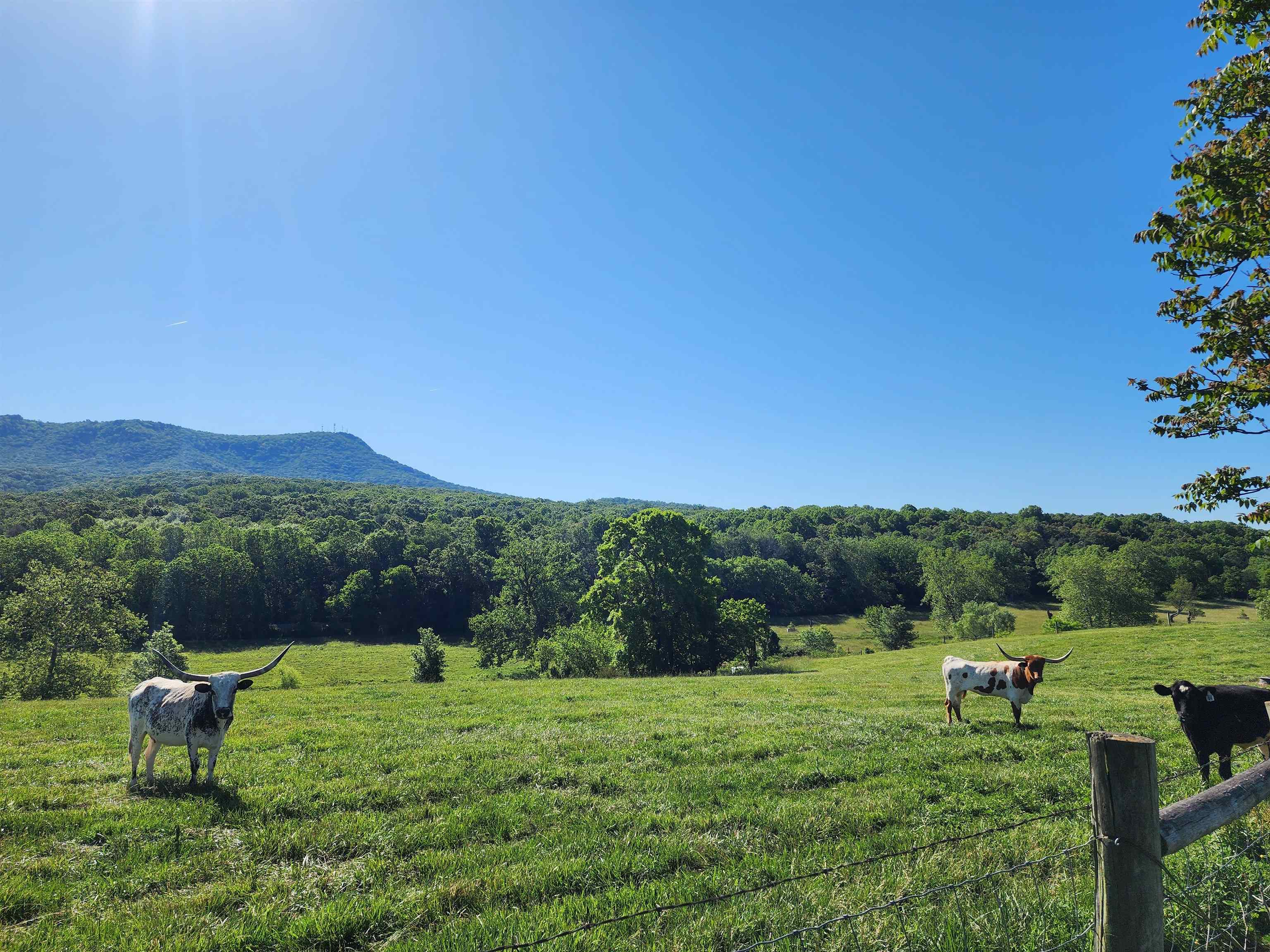 TBD INDIAN TRAIL RD, PENN LAIRD, Virginia 22846, ,Land,14,TBD INDIAN TRAIL RD,678406 MLS # 678406 TBD INDIAN TRAIL RD, PENN LAIRD, Virginia 22846, ,Land,14,TBD INDIAN TRAIL RD,678406 MLS # 678406