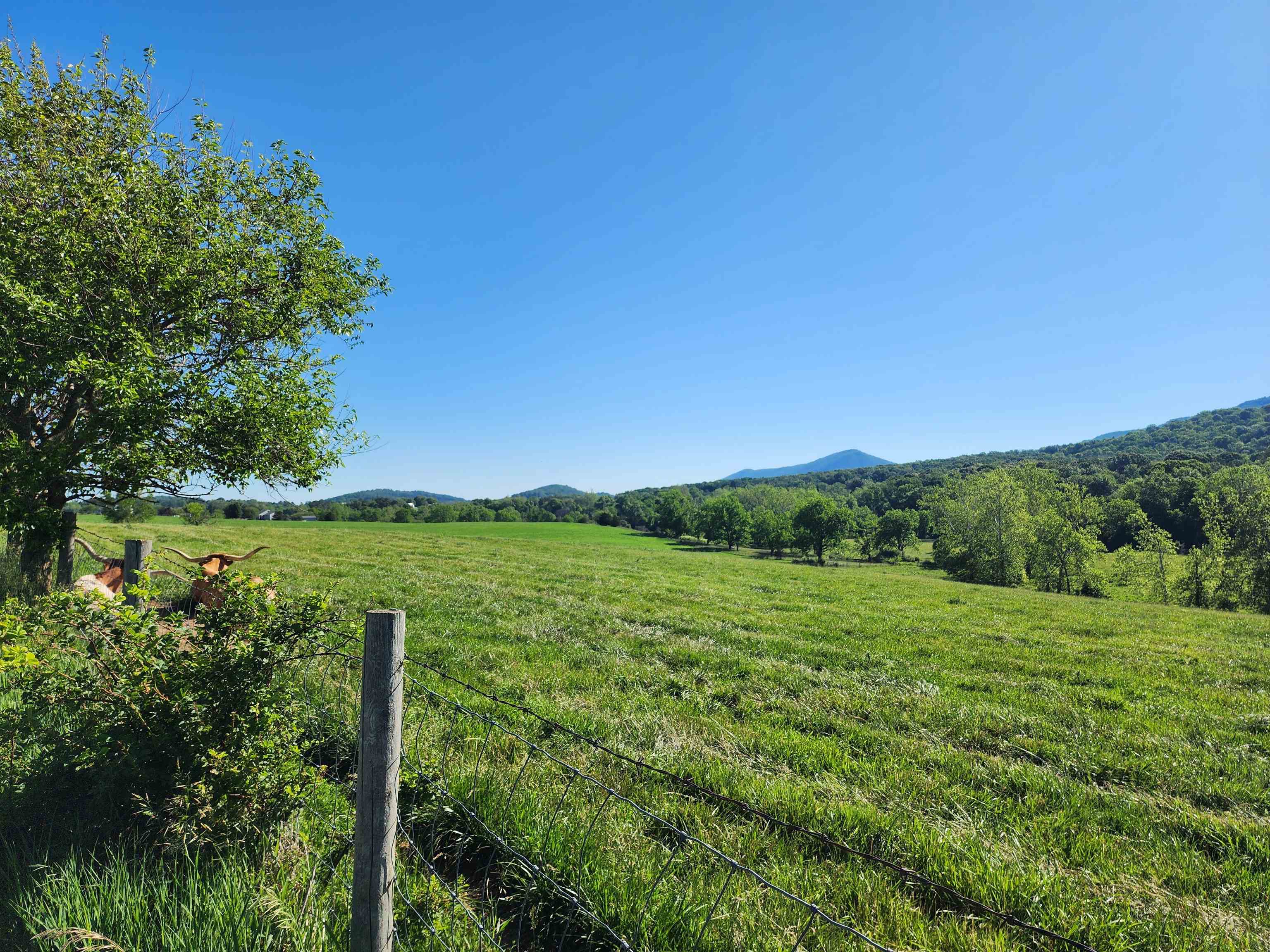 TBD INDIAN TRAIL RD, PENN LAIRD, Virginia 22846, ,Land,14,TBD INDIAN TRAIL RD,678406 MLS # 678406 TBD INDIAN TRAIL RD, PENN LAIRD, Virginia 22846, ,Land,14,TBD INDIAN TRAIL RD,678406 MLS # 678406