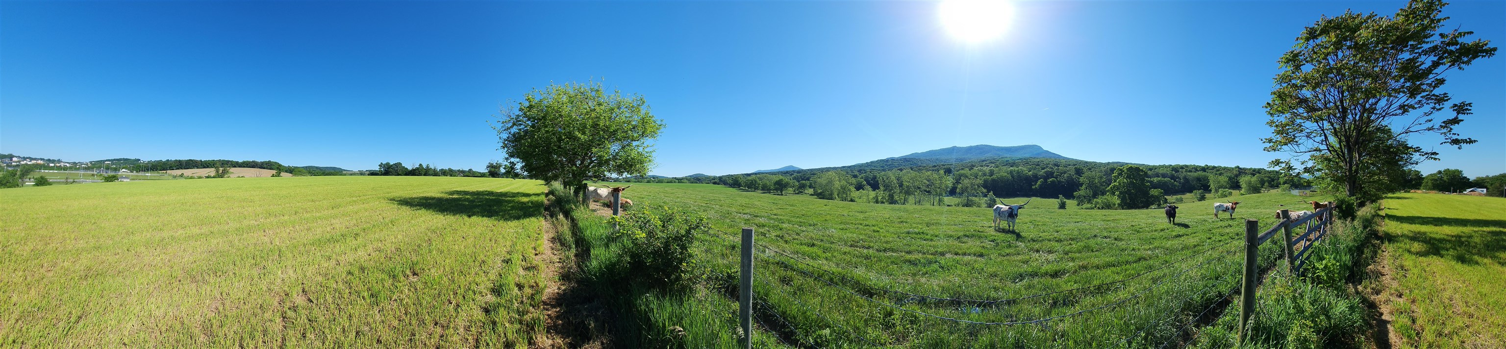 TBD INDIAN TRAIL RD, PENN LAIRD, Virginia 22846, ,Land,14,TBD INDIAN TRAIL RD,678406 MLS # 678406 TBD INDIAN TRAIL RD, PENN LAIRD, Virginia 22846, ,Land,14,TBD INDIAN TRAIL RD,678406 MLS # 678406