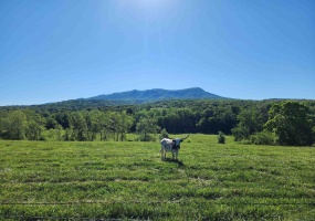 TBD INDIAN TRAIL RD, PENN LAIRD, Virginia 22846, ,Land,14,TBD INDIAN TRAIL RD,678406 MLS # 678406