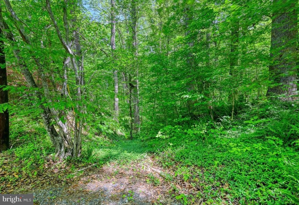 14584 CROSS COUNTY RD, MINERAL, Virginia 23117, ,Farm,14,14584 CROSS COUNTY RD,VALA2010074 MLS # VALA2010074 14584 CROSS COUNTY RD, MINERAL, Virginia 23117, ,Farm,14,14584 CROSS COUNTY RD,VALA2010074 MLS # VALA2010074