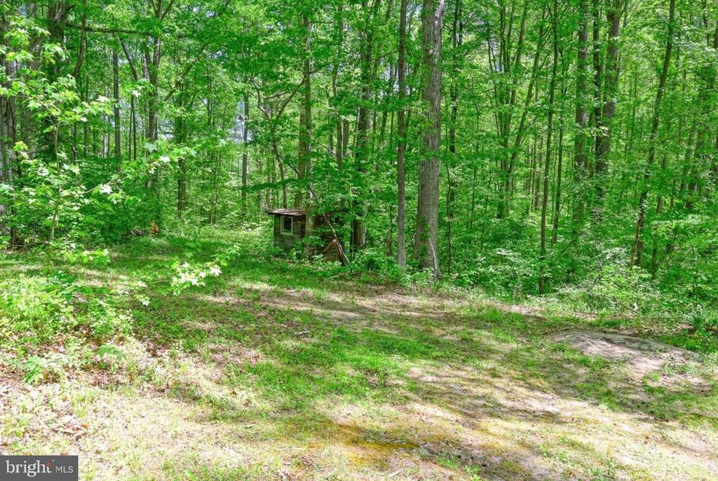 14584 CROSS COUNTY RD, MINERAL, Virginia 23117, ,Farm,14,14584 CROSS COUNTY RD,VALA2010074 MLS # VALA2010074 14584 CROSS COUNTY RD, MINERAL, Virginia 23117, ,Farm,14,14584 CROSS COUNTY RD,VALA2010074 MLS # VALA2010074