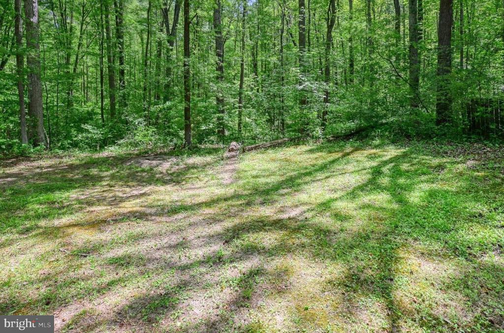 14584 CROSS COUNTY RD, MINERAL, Virginia 23117, ,Farm,14,14584 CROSS COUNTY RD,VALA2010074 MLS # VALA2010074 14584 CROSS COUNTY RD, MINERAL, Virginia 23117, ,Farm,14,14584 CROSS COUNTY RD,VALA2010074 MLS # VALA2010074