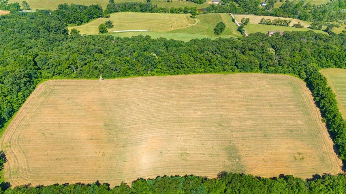 TBD ARBOR HILL RD, STAUNTON, Virginia 24401, ,Farm,14,TBD ARBOR HILL RD,678469 MLS # 678469 TBD ARBOR HILL RD, STAUNTON, Virginia 24401, ,Farm,14,TBD ARBOR HILL RD,678469 MLS # 678469