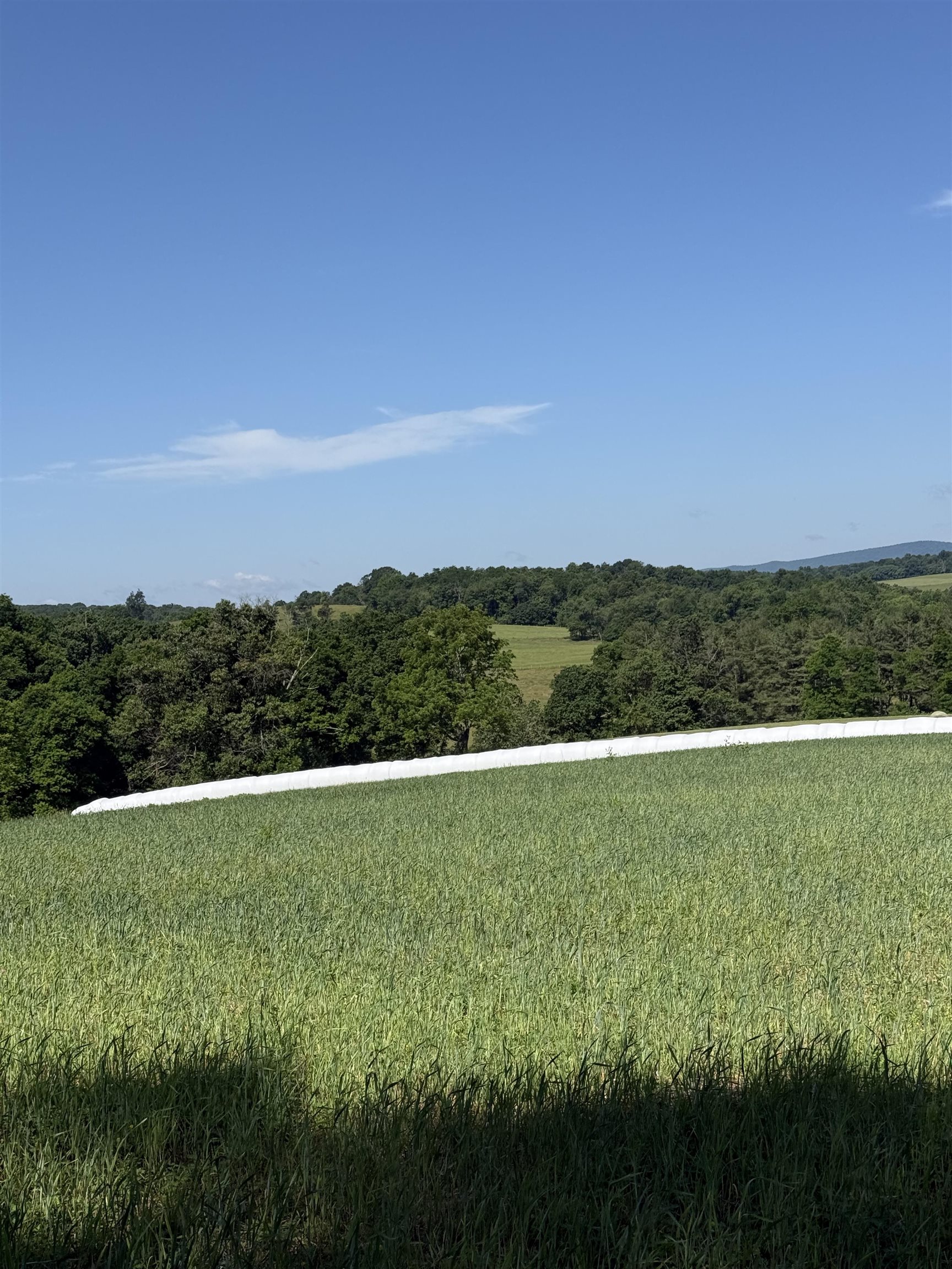 TBD ARBOR HILL RD, STAUNTON, Virginia 24401, ,Farm,14,TBD ARBOR HILL RD,678469 MLS # 678469 TBD ARBOR HILL RD, STAUNTON, Virginia 24401, ,Farm,14,TBD ARBOR HILL RD,678469 MLS # 678469