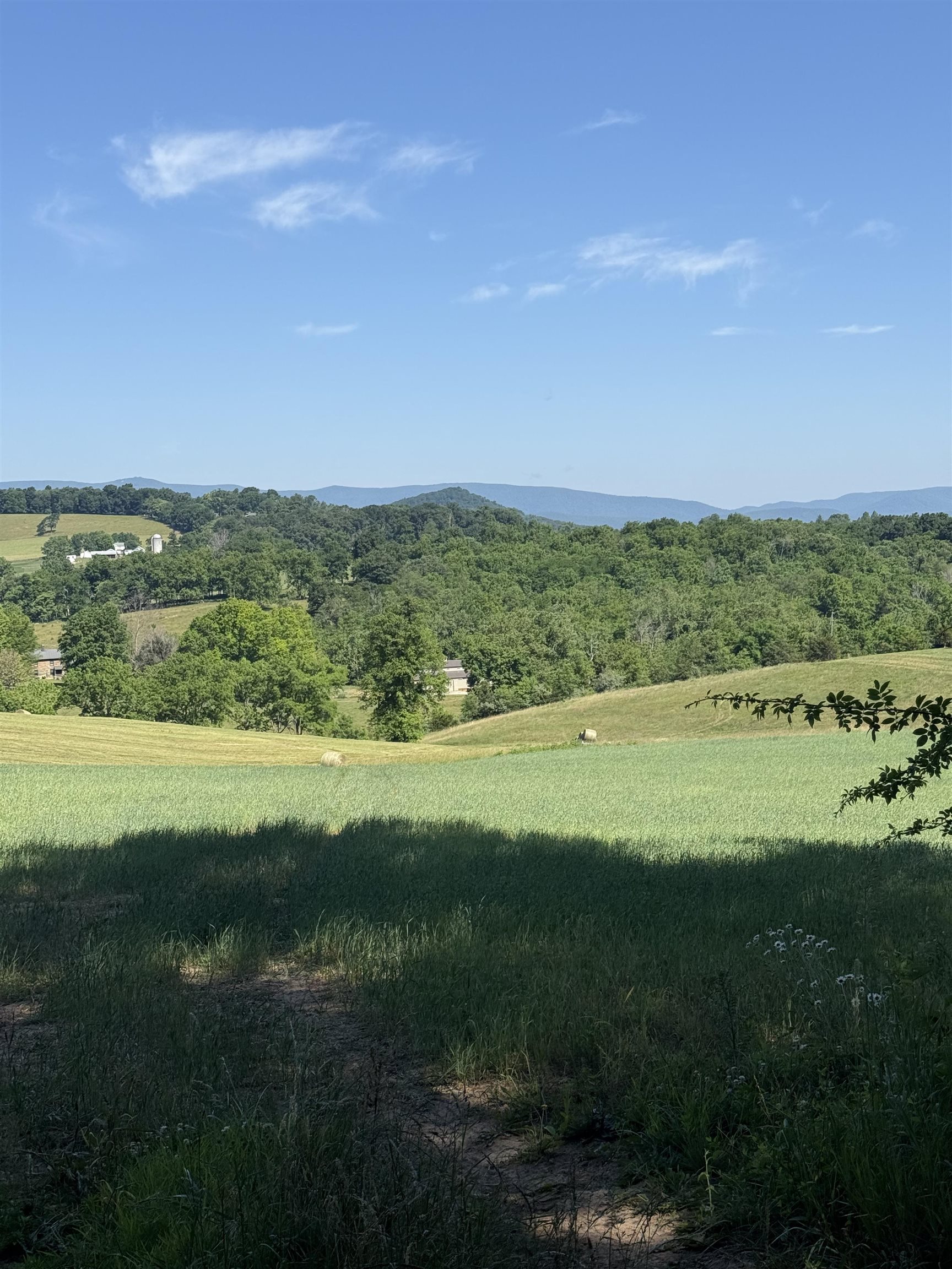 TBD ARBOR HILL RD, STAUNTON, Virginia 24401, ,Farm,14,TBD ARBOR HILL RD,678469 MLS # 678469 TBD ARBOR HILL RD, STAUNTON, Virginia 24401, ,Farm,14,TBD ARBOR HILL RD,678469 MLS # 678469