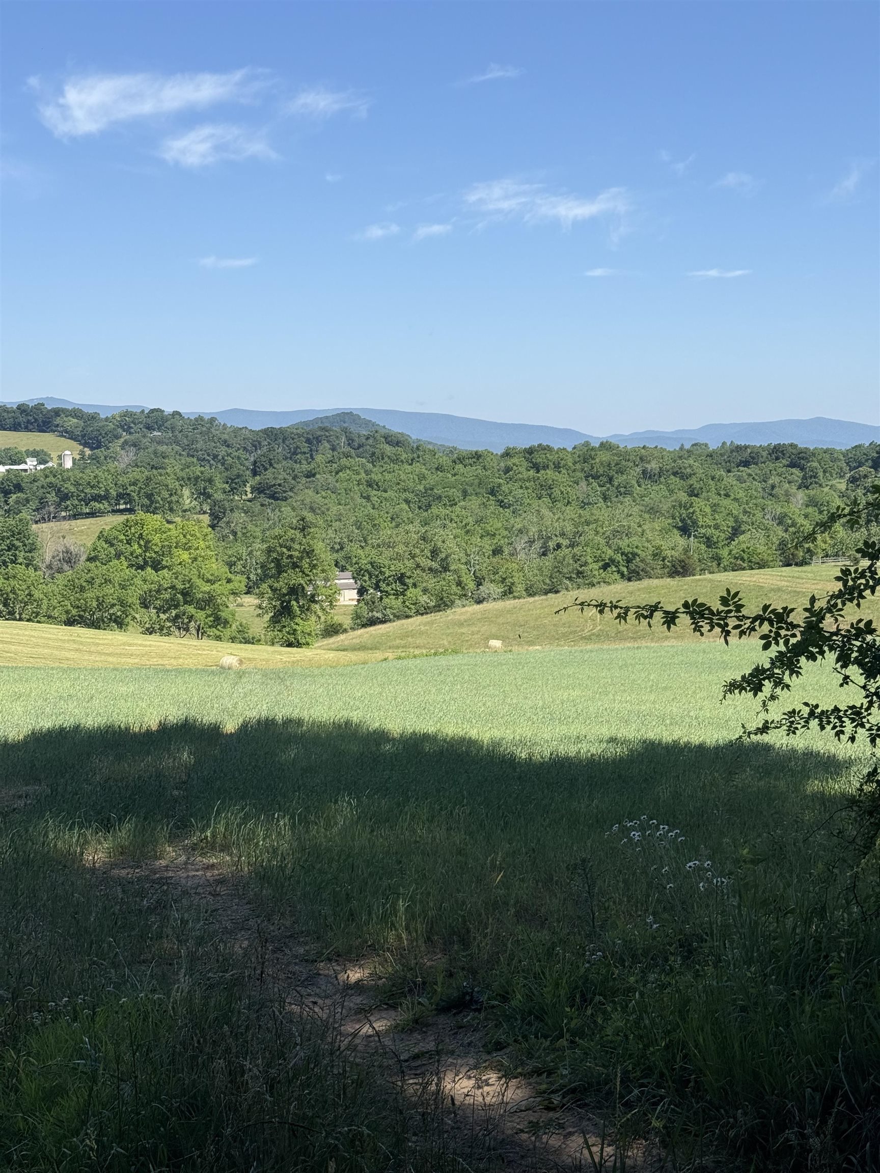 TBD ARBOR HILL RD, STAUNTON, Virginia 24401, ,Farm,14,TBD ARBOR HILL RD,678469 MLS # 678469 TBD ARBOR HILL RD, STAUNTON, Virginia 24401, ,Farm,14,TBD ARBOR HILL RD,678469 MLS # 678469