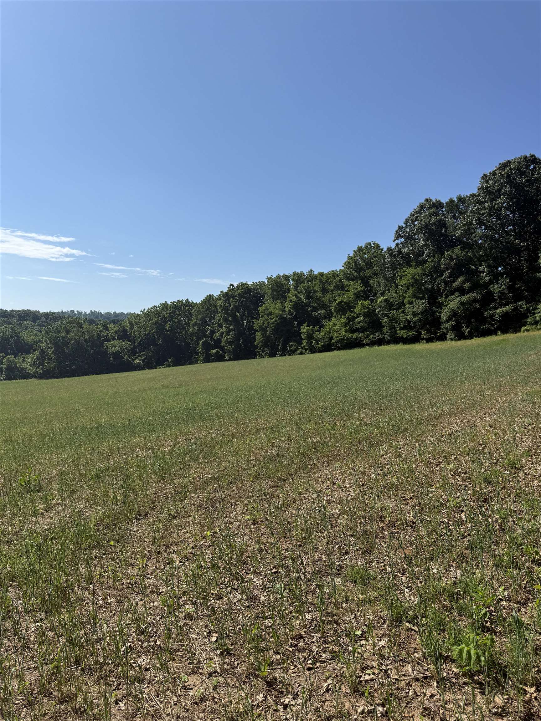 TBD ARBOR HILL RD, STAUNTON, Virginia 24401, ,Farm,14,TBD ARBOR HILL RD,678469 MLS # 678469 TBD ARBOR HILL RD, STAUNTON, Virginia 24401, ,Farm,14,TBD ARBOR HILL RD,678469 MLS # 678469