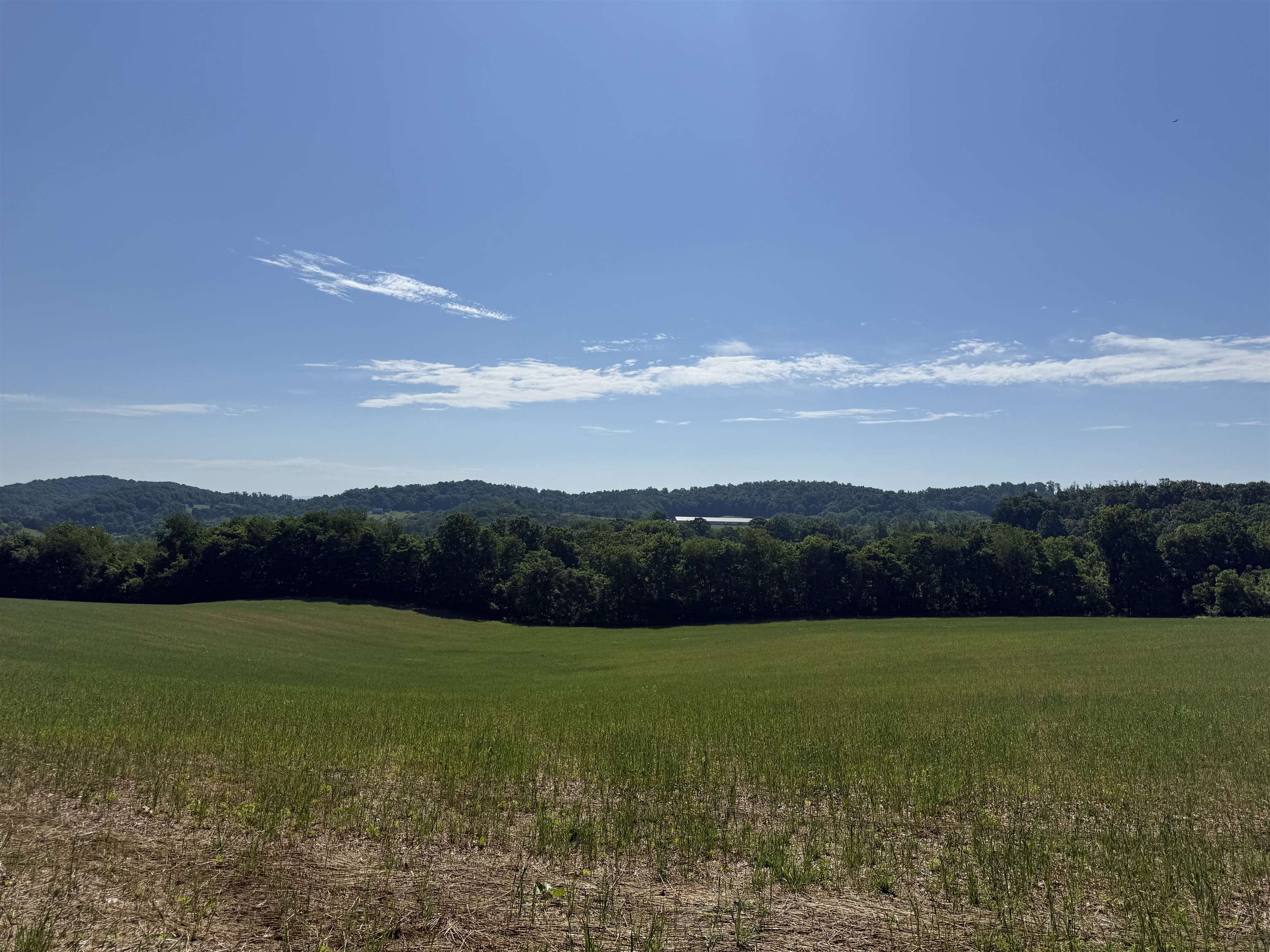 TBD ARBOR HILL RD, STAUNTON, Virginia 24401, ,Farm,14,TBD ARBOR HILL RD,678469 MLS # 678469 TBD ARBOR HILL RD, STAUNTON, Virginia 24401, ,Farm,14,TBD ARBOR HILL RD,678469 MLS # 678469
