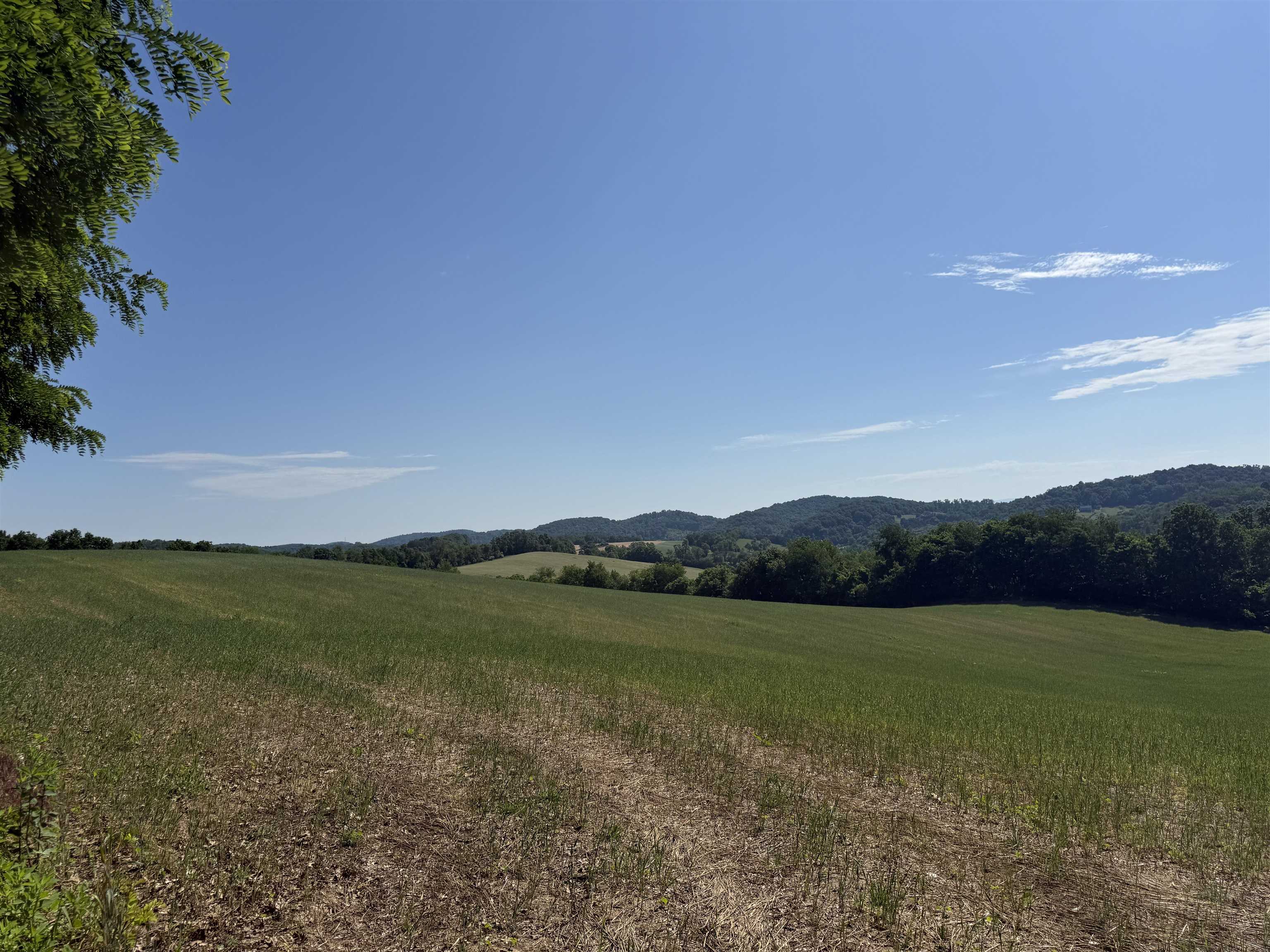 TBD ARBOR HILL RD, STAUNTON, Virginia 24401, ,Farm,14,TBD ARBOR HILL RD,678469 MLS # 678469 TBD ARBOR HILL RD, STAUNTON, Virginia 24401, ,Farm,14,TBD ARBOR HILL RD,678469 MLS # 678469