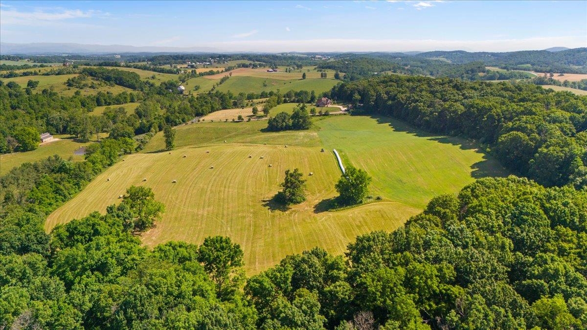 TBD ARBOR HILL RD, STAUNTON, Virginia 24401, ,Farm,14,TBD ARBOR HILL RD,678469 MLS # 678469 TBD ARBOR HILL RD, STAUNTON, Virginia 24401, ,Farm,14,TBD ARBOR HILL RD,678469 MLS # 678469