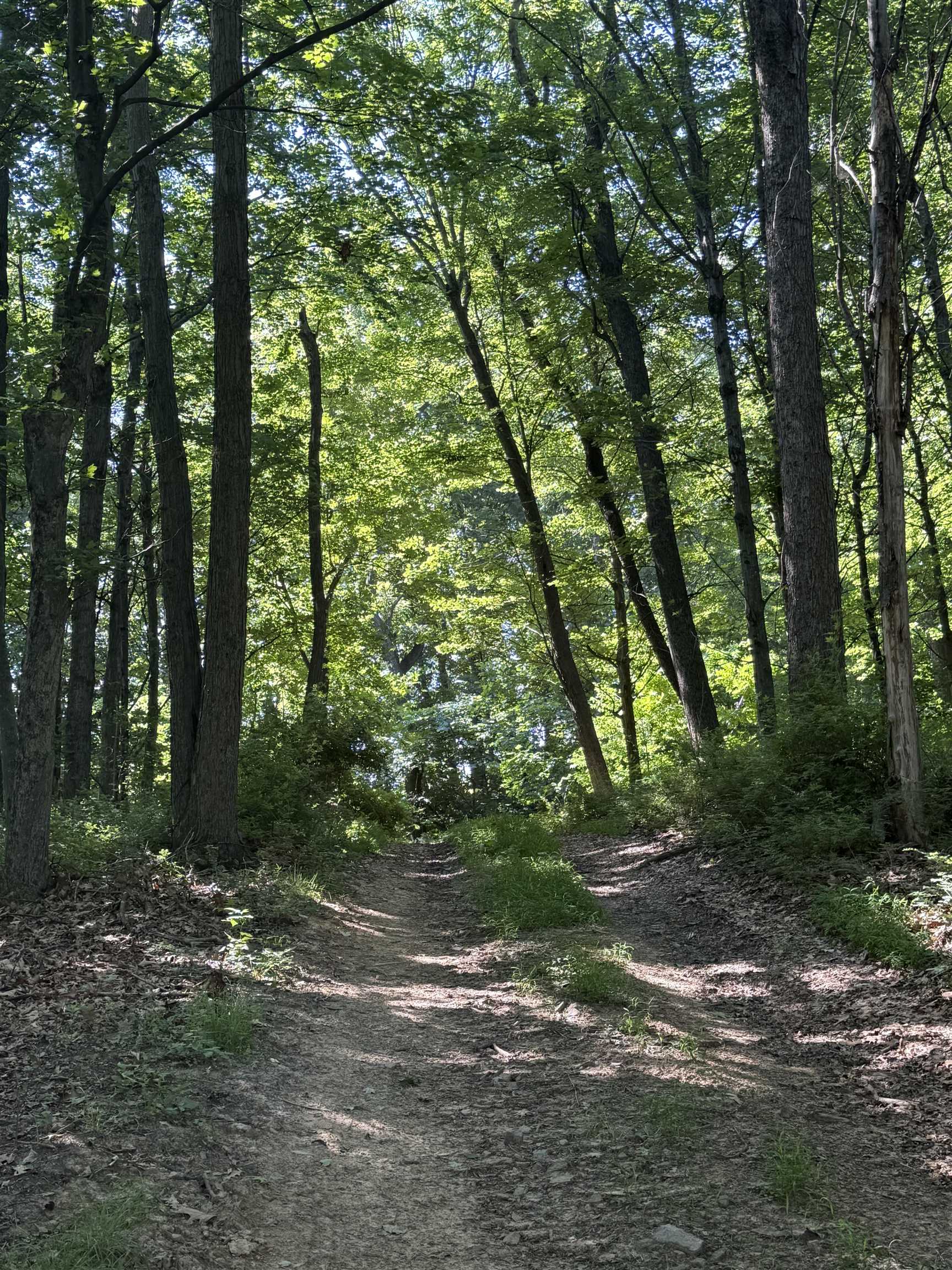 TBD ARBOR HILL RD, STAUNTON, Virginia 24401, ,Farm,14,TBD ARBOR HILL RD,678469 MLS # 678469 TBD ARBOR HILL RD, STAUNTON, Virginia 24401, ,Farm,14,TBD ARBOR HILL RD,678469 MLS # 678469
