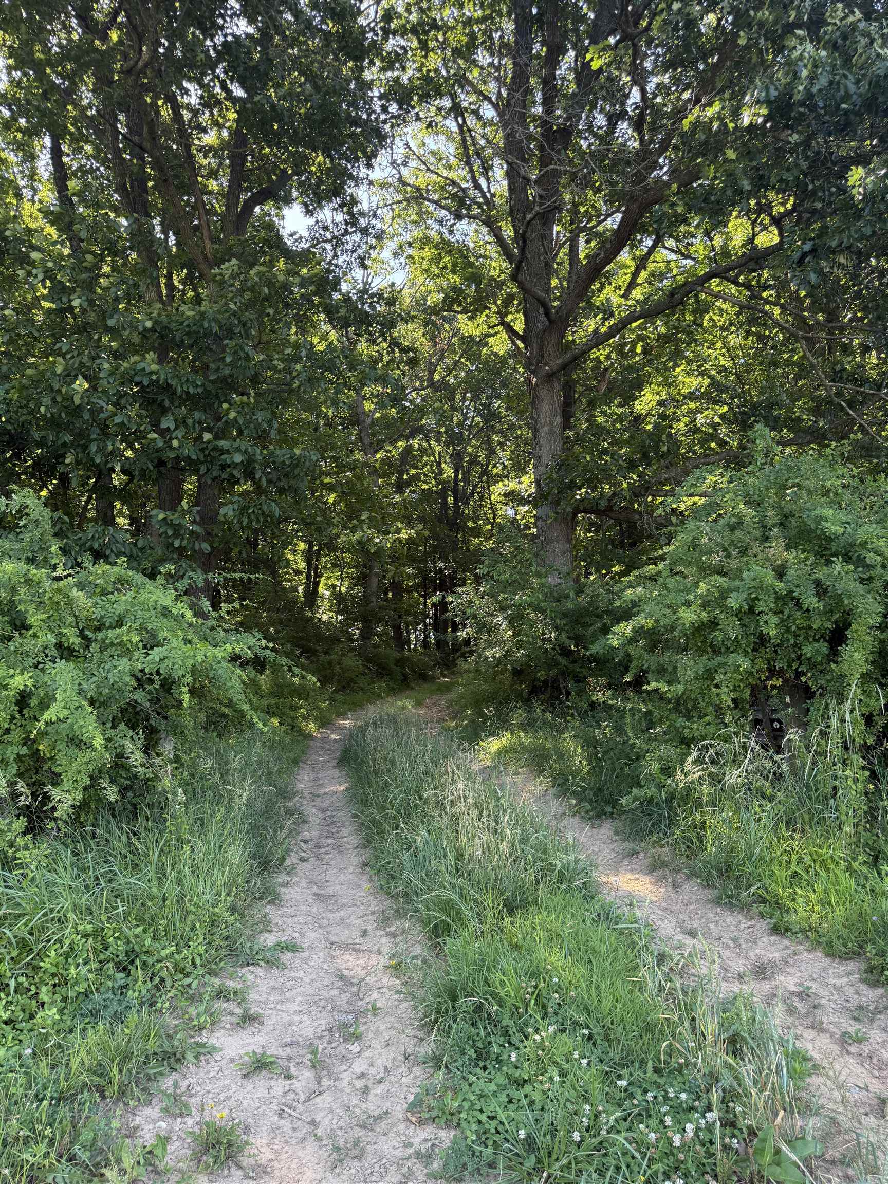 TBD ARBOR HILL RD, STAUNTON, Virginia 24401, ,Farm,14,TBD ARBOR HILL RD,678469 MLS # 678469 TBD ARBOR HILL RD, STAUNTON, Virginia 24401, ,Farm,14,TBD ARBOR HILL RD,678469 MLS # 678469