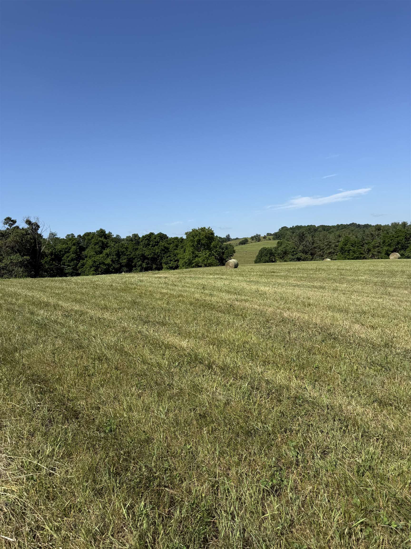 TBD ARBOR HILL RD, STAUNTON, Virginia 24401, ,Farm,14,TBD ARBOR HILL RD,678469 MLS # 678469 TBD ARBOR HILL RD, STAUNTON, Virginia 24401, ,Farm,14,TBD ARBOR HILL RD,678469 MLS # 678469
