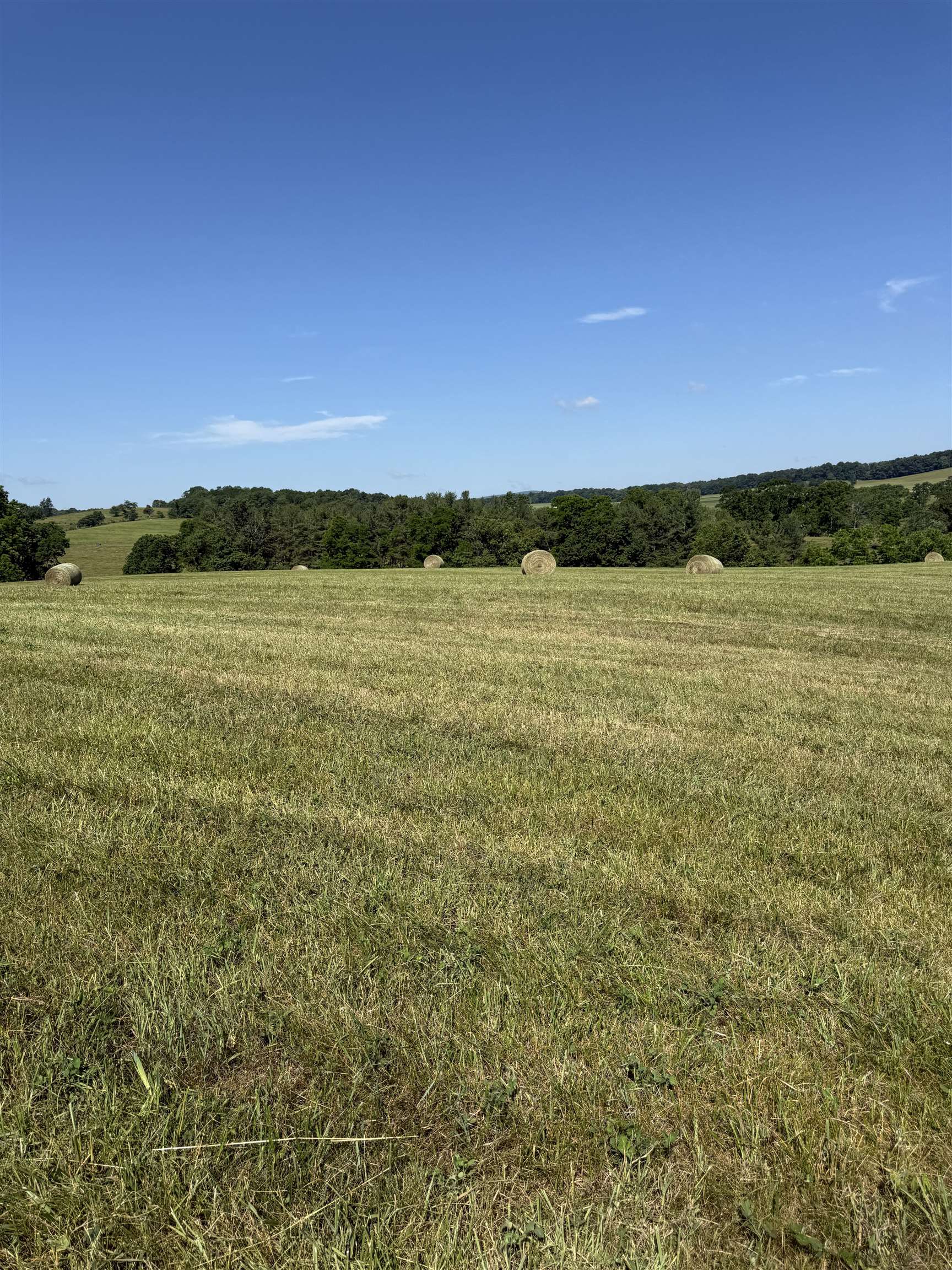 TBD ARBOR HILL RD, STAUNTON, Virginia 24401, ,Farm,14,TBD ARBOR HILL RD,678469 MLS # 678469 TBD ARBOR HILL RD, STAUNTON, Virginia 24401, ,Farm,14,TBD ARBOR HILL RD,678469 MLS # 678469