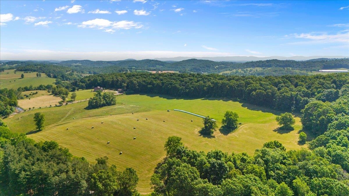 TBD ARBOR HILL RD, STAUNTON, Virginia 24401, ,Farm,14,TBD ARBOR HILL RD,678469 MLS # 678469 TBD ARBOR HILL RD, STAUNTON, Virginia 24401, ,Farm,14,TBD ARBOR HILL RD,678469 MLS # 678469