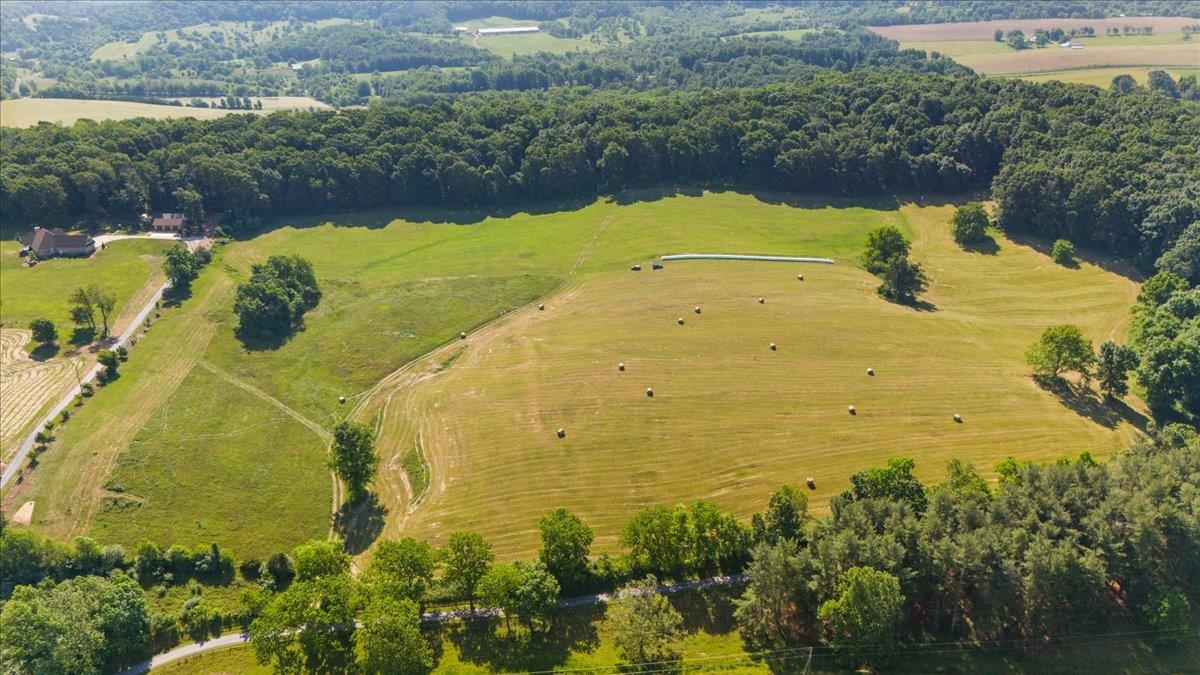 TBD ARBOR HILL RD, STAUNTON, Virginia 24401, ,Farm,14,TBD ARBOR HILL RD,678469 MLS # 678469 TBD ARBOR HILL RD, STAUNTON, Virginia 24401, ,Farm,14,TBD ARBOR HILL RD,678469 MLS # 678469