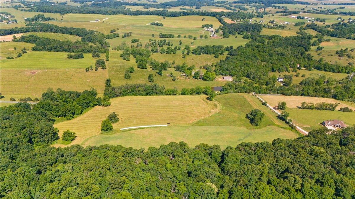 TBD ARBOR HILL RD, STAUNTON, Virginia 24401, ,Farm,14,TBD ARBOR HILL RD,678469 MLS # 678469 TBD ARBOR HILL RD, STAUNTON, Virginia 24401, ,Farm,14,TBD ARBOR HILL RD,678469 MLS # 678469
