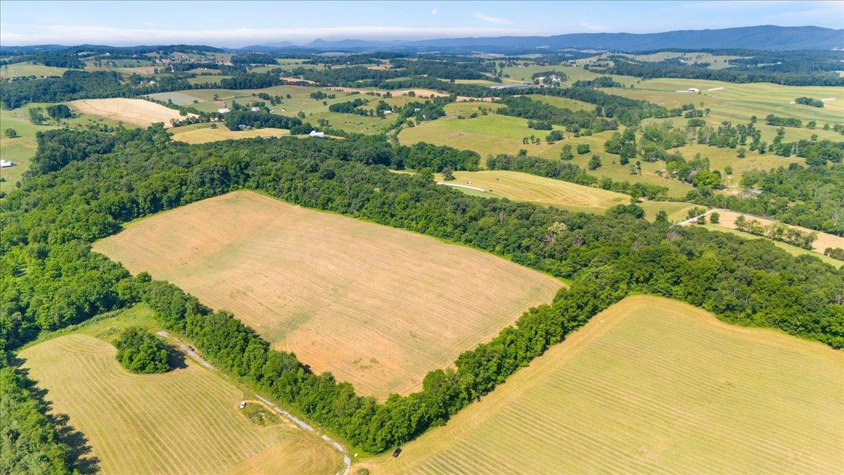 TBD ARBOR HILL RD, STAUNTON, Virginia 24401, ,Farm,14,TBD ARBOR HILL RD,678469 MLS # 678469 TBD ARBOR HILL RD, STAUNTON, Virginia 24401, ,Farm,14,TBD ARBOR HILL RD,678469 MLS # 678469