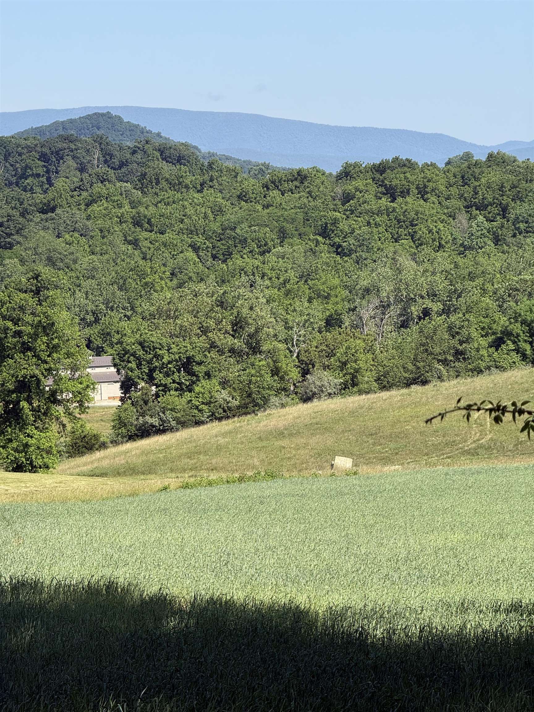 TBD ARBOR HILL RD, STAUNTON, Virginia 24401, ,Farm,14,TBD ARBOR HILL RD,678469 MLS # 678469 TBD ARBOR HILL RD, STAUNTON, Virginia 24401, ,Farm,14,TBD ARBOR HILL RD,678469 MLS # 678469