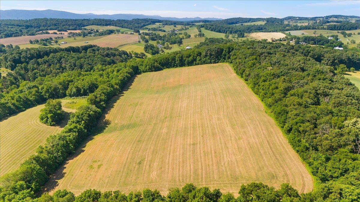 TBD ARBOR HILL RD, STAUNTON, Virginia 24401, ,Farm,14,TBD ARBOR HILL RD,678469 MLS # 678469 TBD ARBOR HILL RD, STAUNTON, Virginia 24401, ,Farm,14,TBD ARBOR HILL RD,678469 MLS # 678469
