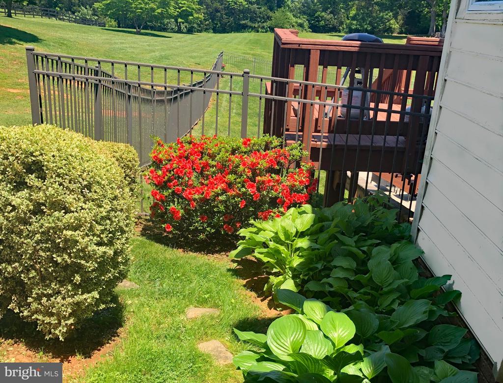6277 GRIFFINSBURG RD, BOSTON, Virginia 22713, 4 Bedrooms Bedrooms, ,4 BathroomsBathrooms,Residential,14,6277 GRIFFINSBURG RD,VACU2013376 MLS # VACU2013376