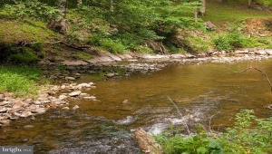 176 ROCK MILLS RD CASTLETON Virginia 22716