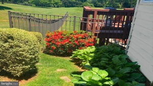 6277 GRIFFINSBURG RD BOSTON Virginia 22713