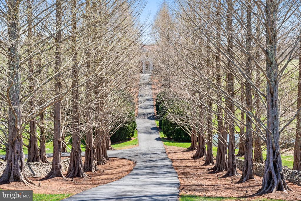 2547 HALFWAY RD, THE PLAINS, Virginia 20198, 5 Bedrooms Bedrooms, ,5 BathroomsBathrooms,Residential,14,2547 HALFWAY RD,VAFQ2021476 MLS # VAFQ2021476