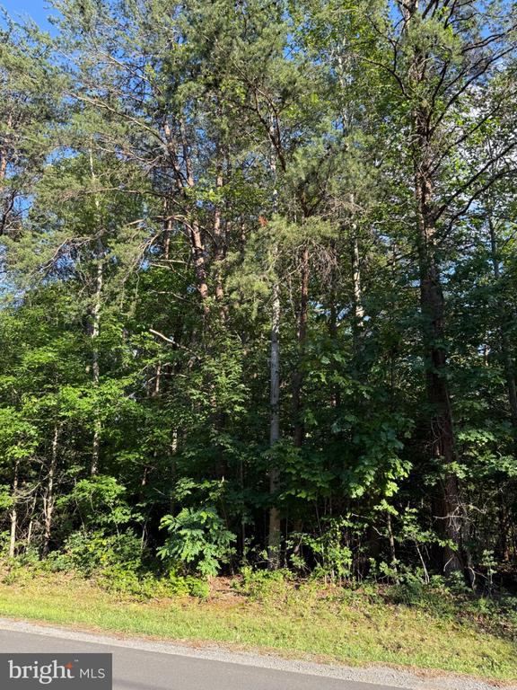 KIRTLEY TRL, CULPEPER, Virginia 22701, ,Land,14,KIRTLEY TRL,VACU2014072 MLS # VACU2014072