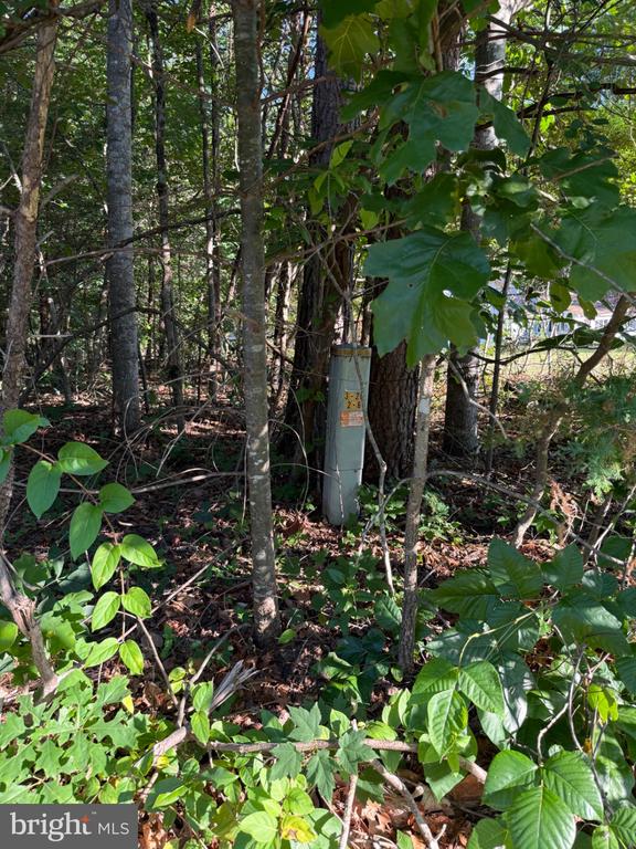 KIRTLEY TRL, CULPEPER, Virginia 22701, ,Land,14,KIRTLEY TRL,VACU2014072 MLS # VACU2014072