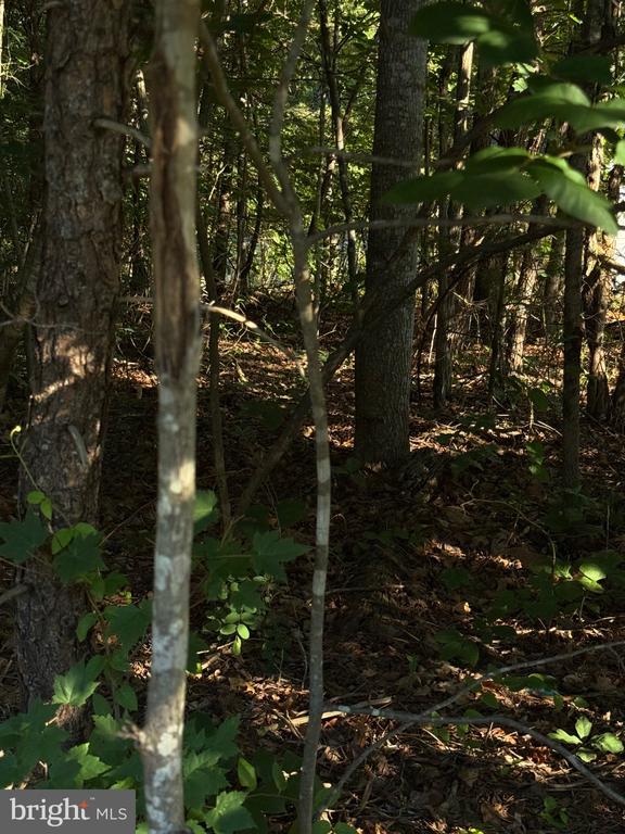 KIRTLEY TRL, CULPEPER, Virginia 22701, ,Land,14,KIRTLEY TRL,VACU2014072 MLS # VACU2014072