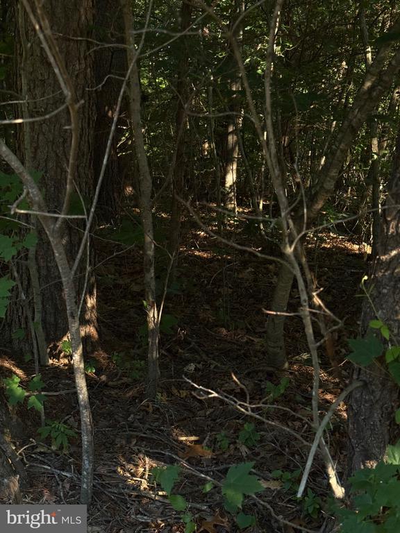 KIRTLEY TRL, CULPEPER, Virginia 22701, ,Land,14,KIRTLEY TRL,VACU2014072 MLS # VACU2014072