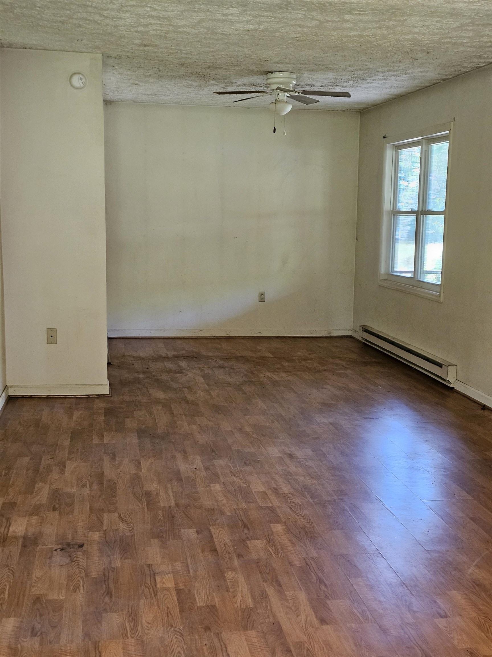 2105 COLES MOUNTAIN RD, HOT SPRINGS, Virginia 24445, 1 Bedroom Bedrooms, ,1 BathroomBathrooms,Residential,14,2105 COLES MOUNTAIN RD,678606 MLS # 678606