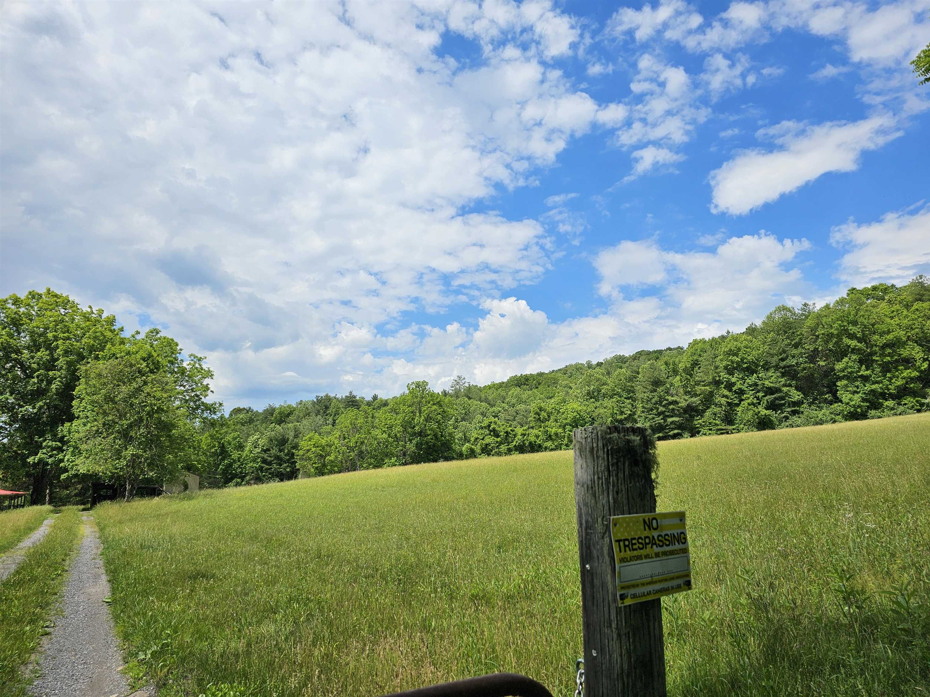 2105 COLES MOUNTAIN RD, HOT SPRINGS, Virginia 24445, 1 Bedroom Bedrooms, ,1 BathroomBathrooms,Residential,14,2105 COLES MOUNTAIN RD,678606 MLS # 678606