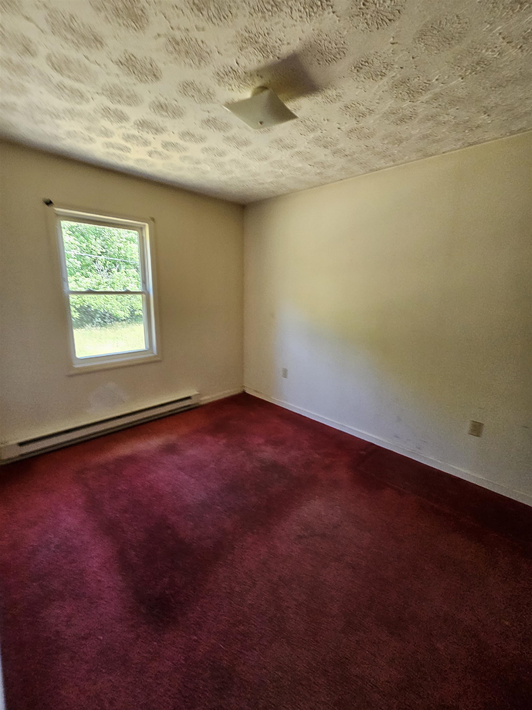 2105 COLES MOUNTAIN RD, HOT SPRINGS, Virginia 24445, 1 Bedroom Bedrooms, ,1 BathroomBathrooms,Residential,14,2105 COLES MOUNTAIN RD,678606 MLS # 678606