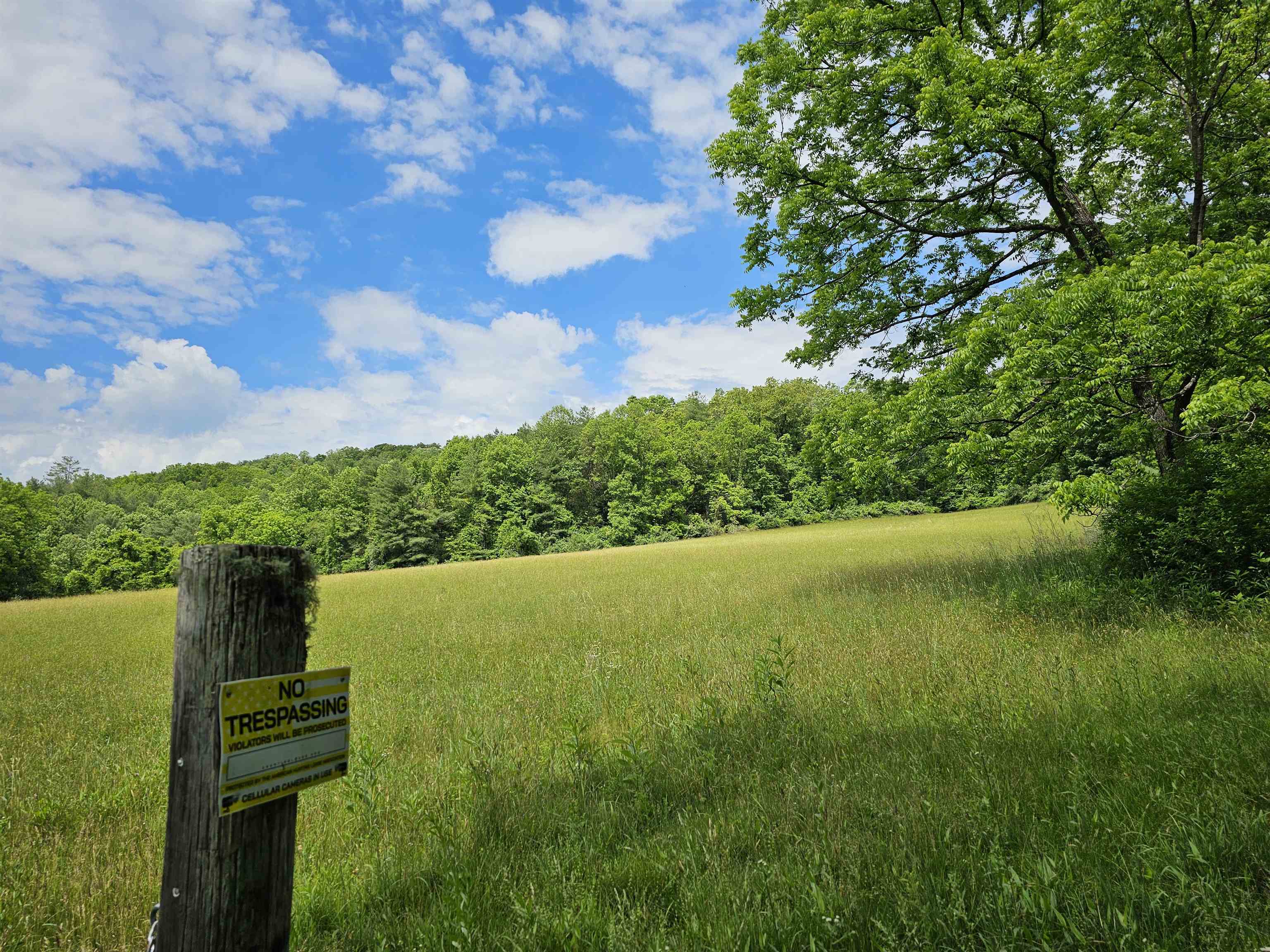 2105 COLES MOUNTAIN RD, HOT SPRINGS, Virginia 24445, 1 Bedroom Bedrooms, ,1 BathroomBathrooms,Residential,14,2105 COLES MOUNTAIN RD,678606 MLS # 678606