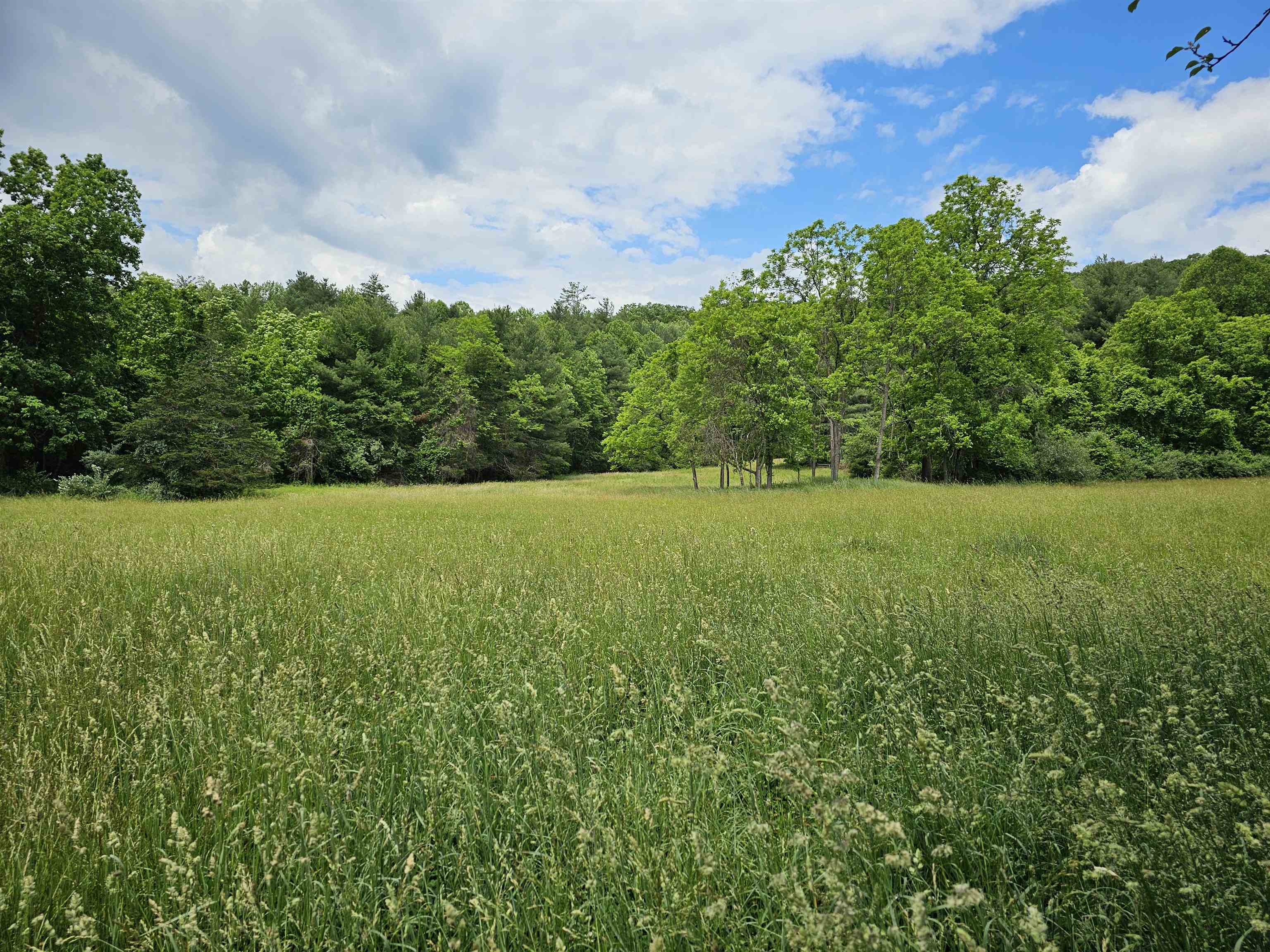 2105 COLES MOUNTAIN RD, HOT SPRINGS, Virginia 24445, 1 Bedroom Bedrooms, ,1 BathroomBathrooms,Residential,14,2105 COLES MOUNTAIN RD,678606 MLS # 678606
