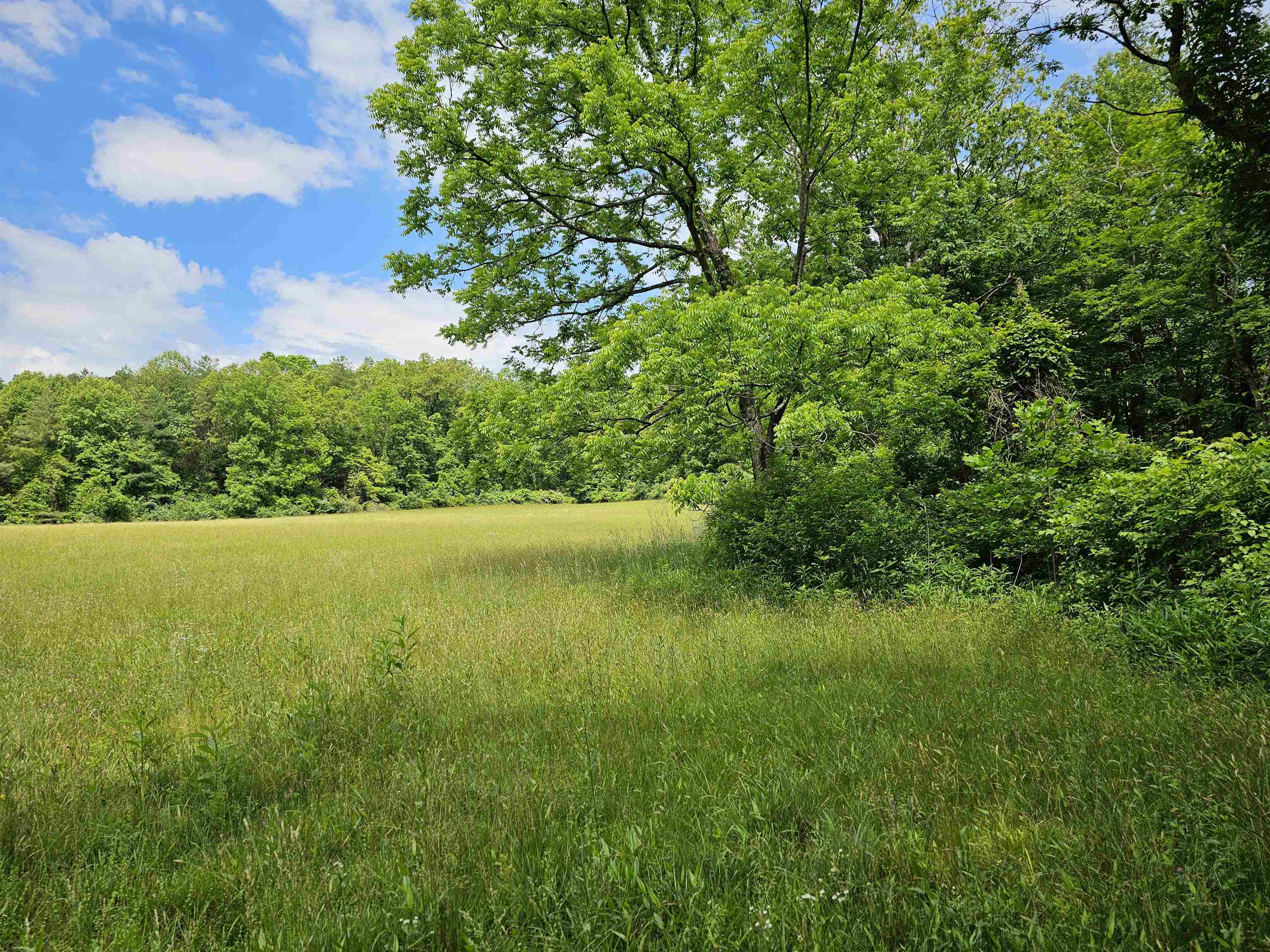 2105 COLES MOUNTAIN RD, HOT SPRINGS, Virginia 24445, 1 Bedroom Bedrooms, ,1 BathroomBathrooms,Residential,14,2105 COLES MOUNTAIN RD,678606 MLS # 678606