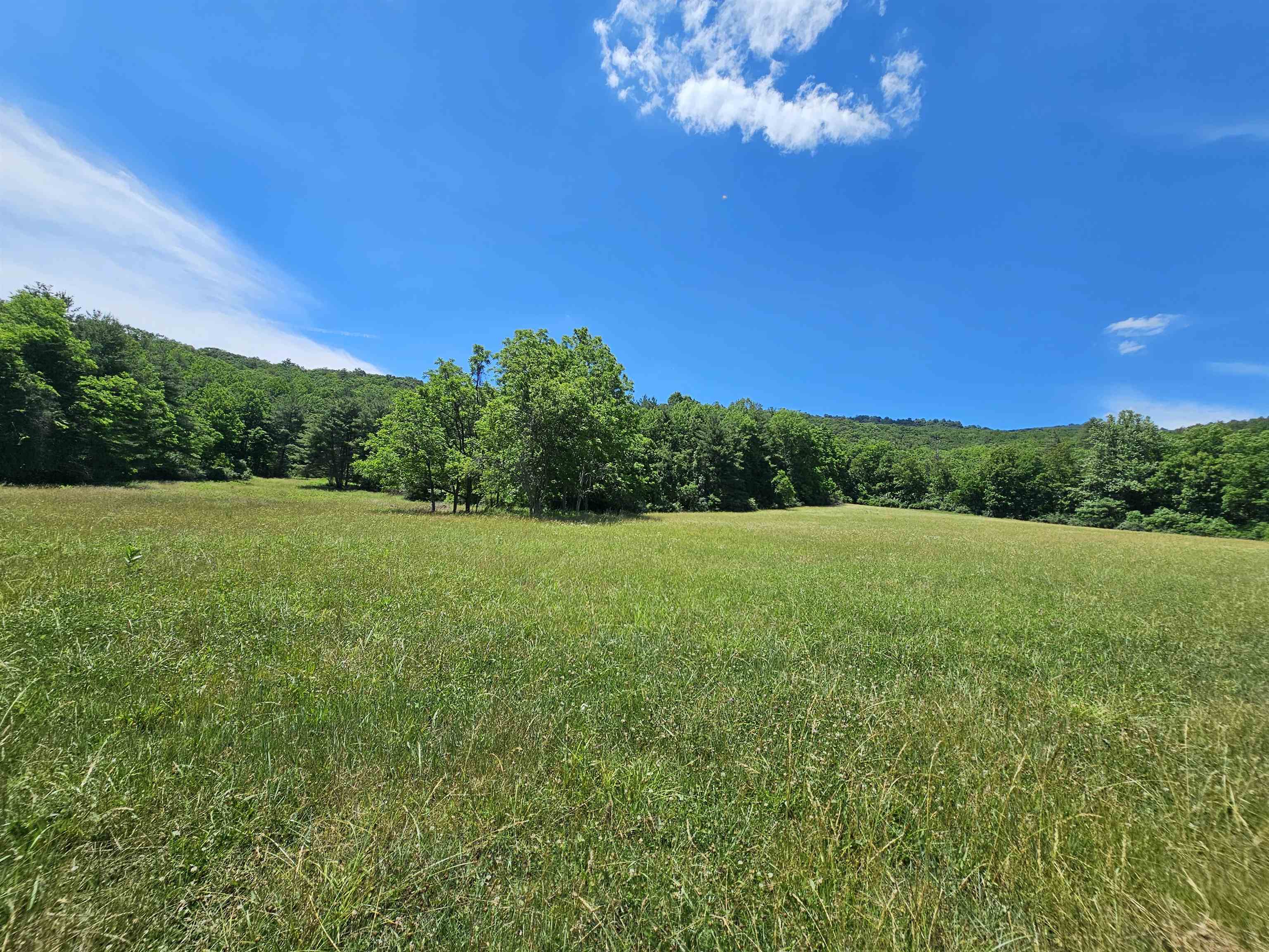 2105 COLES MOUNTAIN RD, HOT SPRINGS, Virginia 24445, 1 Bedroom Bedrooms, ,1 BathroomBathrooms,Residential,14,2105 COLES MOUNTAIN RD,678606 MLS # 678606