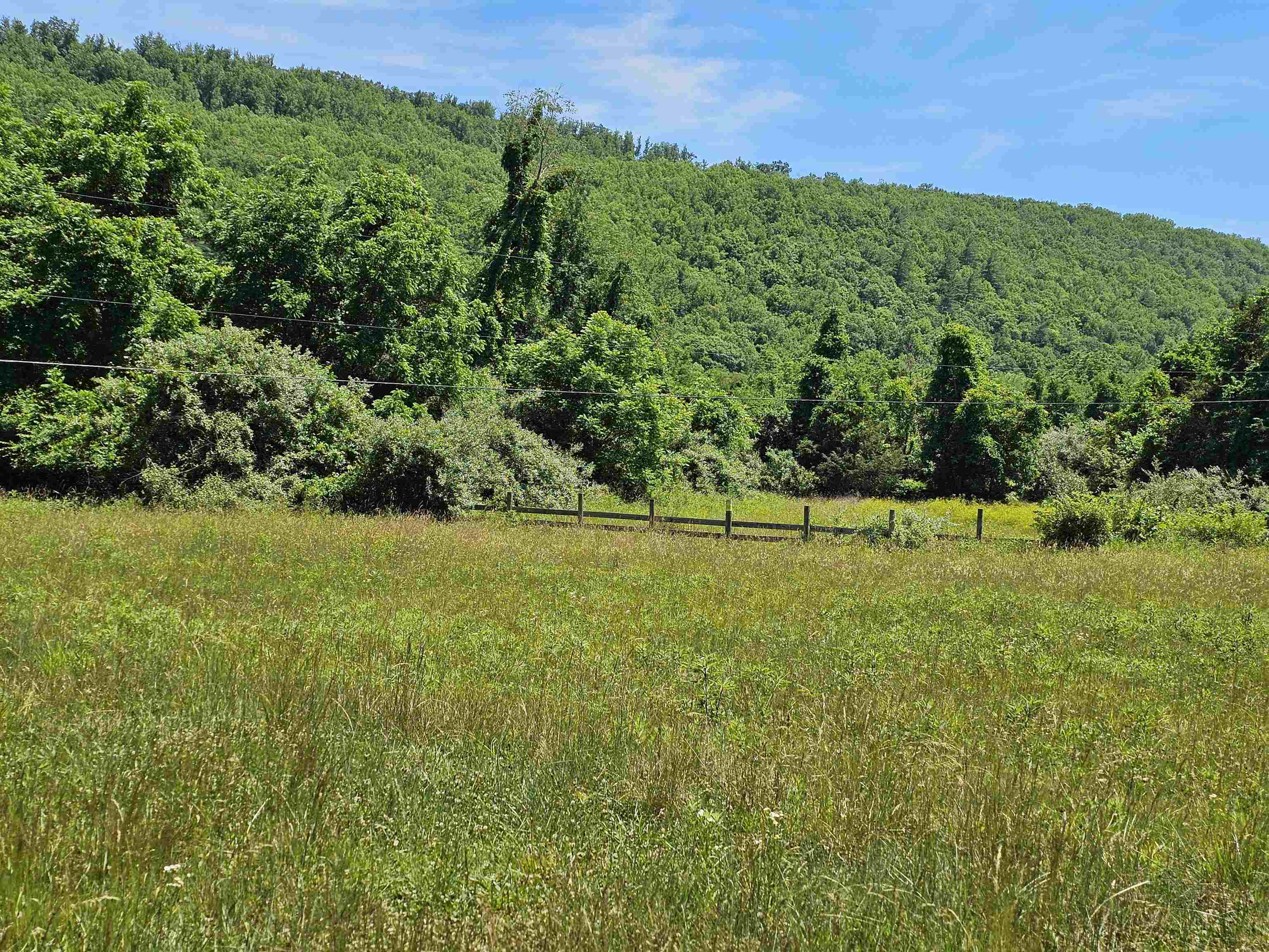 2105 COLES MOUNTAIN RD, HOT SPRINGS, Virginia 24445, 1 Bedroom Bedrooms, ,1 BathroomBathrooms,Residential,14,2105 COLES MOUNTAIN RD,678606 MLS # 678606