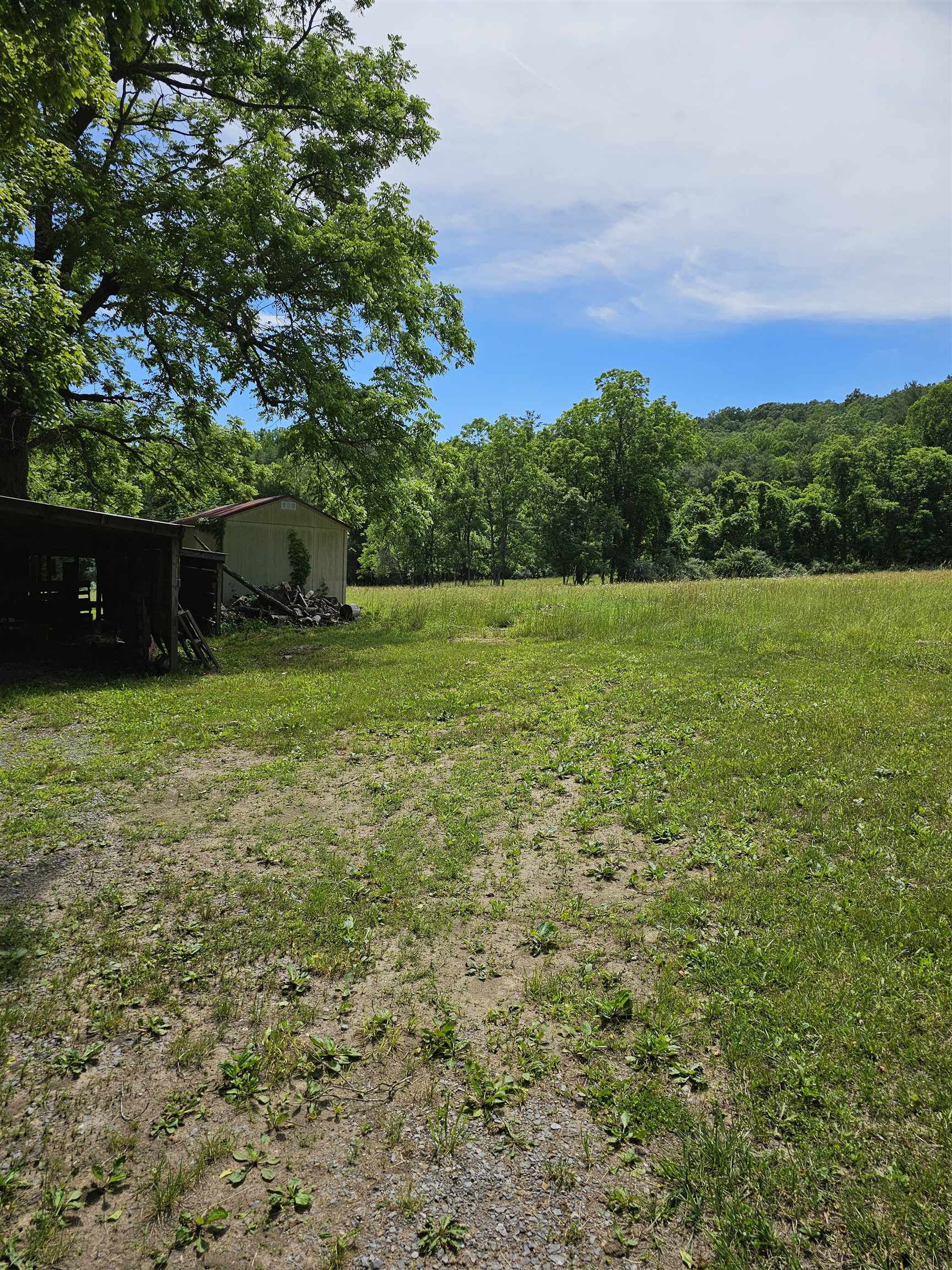 2105 COLES MOUNTAIN RD, HOT SPRINGS, Virginia 24445, 1 Bedroom Bedrooms, ,1 BathroomBathrooms,Residential,14,2105 COLES MOUNTAIN RD,678606 MLS # 678606