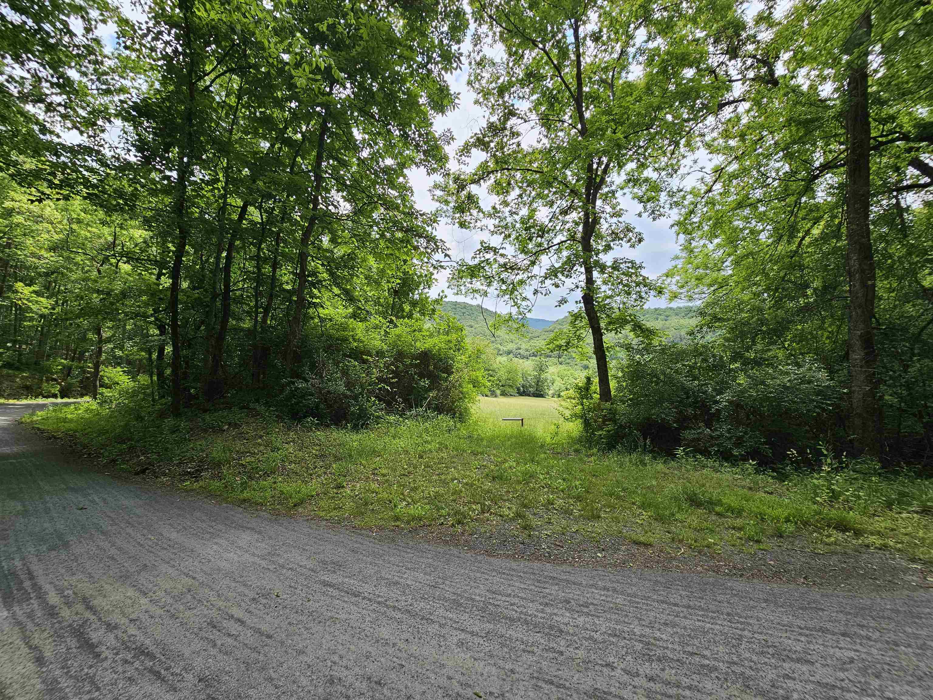 2105 COLES MOUNTAIN RD, HOT SPRINGS, Virginia 24445, 1 Bedroom Bedrooms, ,1 BathroomBathrooms,Residential,14,2105 COLES MOUNTAIN RD,678606 MLS # 678606