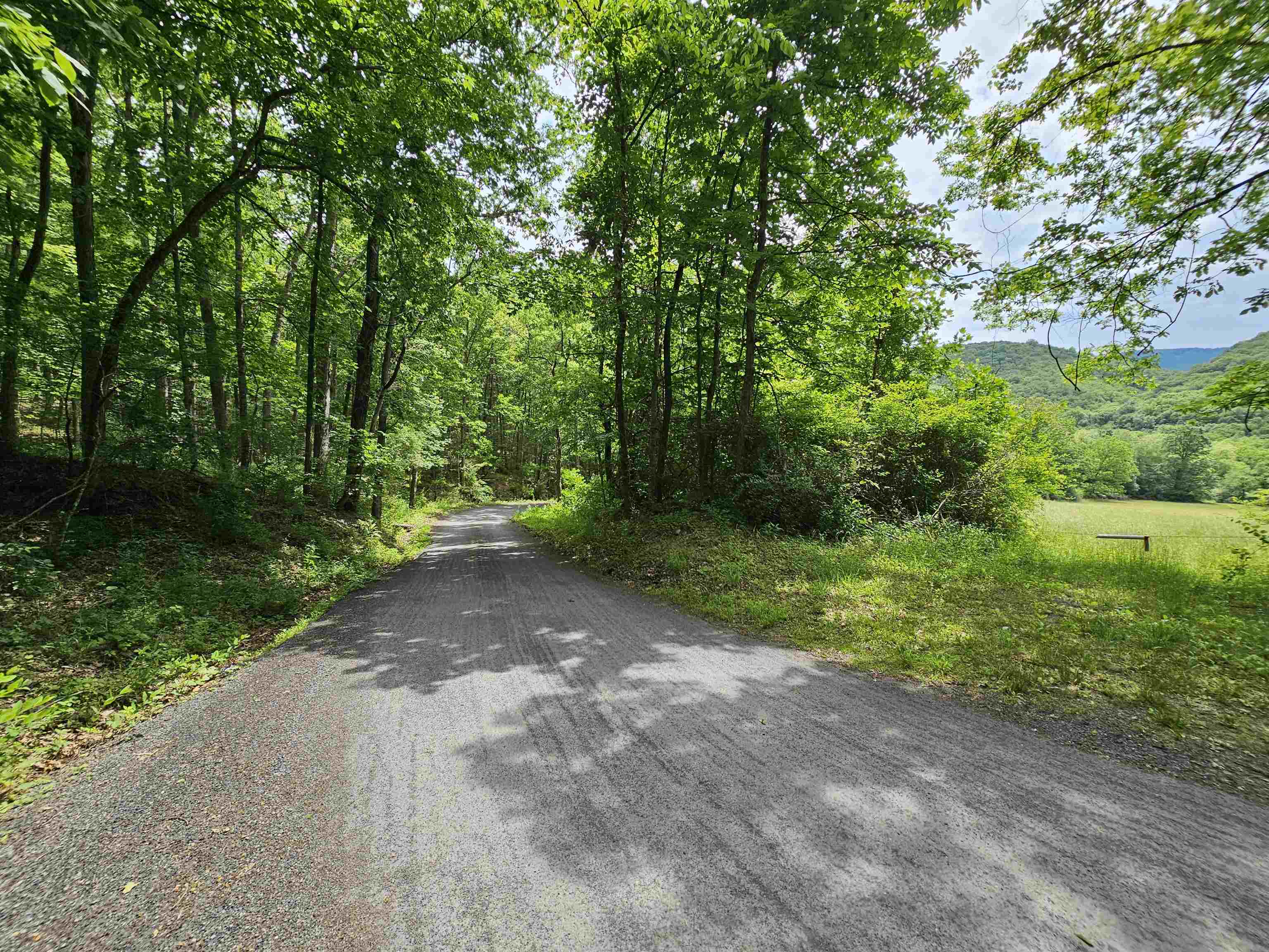 2105 COLES MOUNTAIN RD, HOT SPRINGS, Virginia 24445, 1 Bedroom Bedrooms, ,1 BathroomBathrooms,Residential,14,2105 COLES MOUNTAIN RD,678606 MLS # 678606
