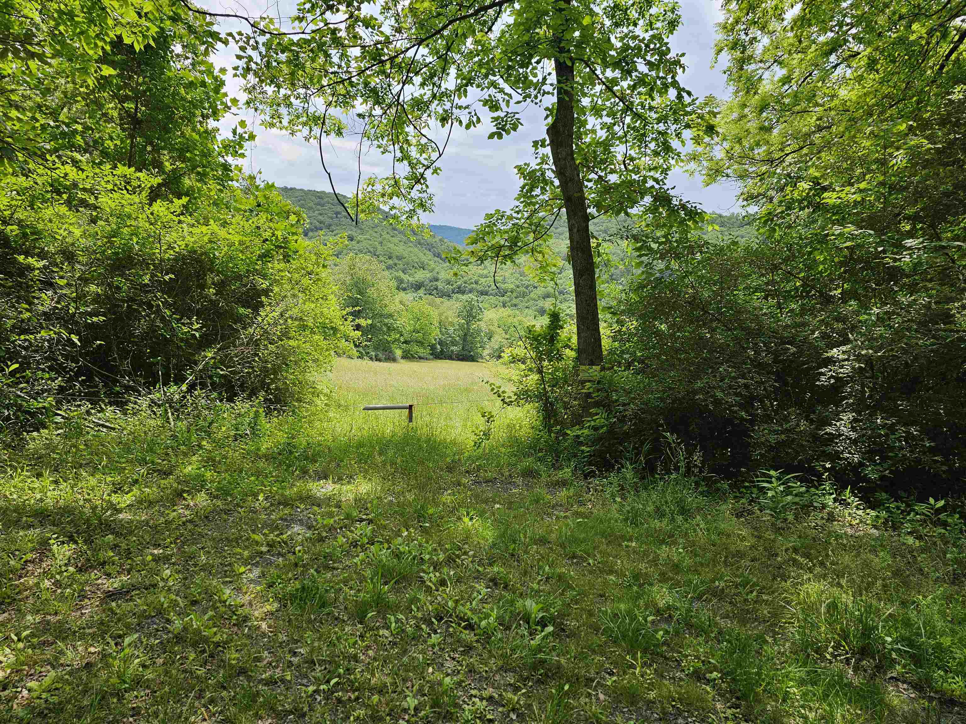 2105 COLES MOUNTAIN RD, HOT SPRINGS, Virginia 24445, 1 Bedroom Bedrooms, ,1 BathroomBathrooms,Residential,14,2105 COLES MOUNTAIN RD,678606 MLS # 678606